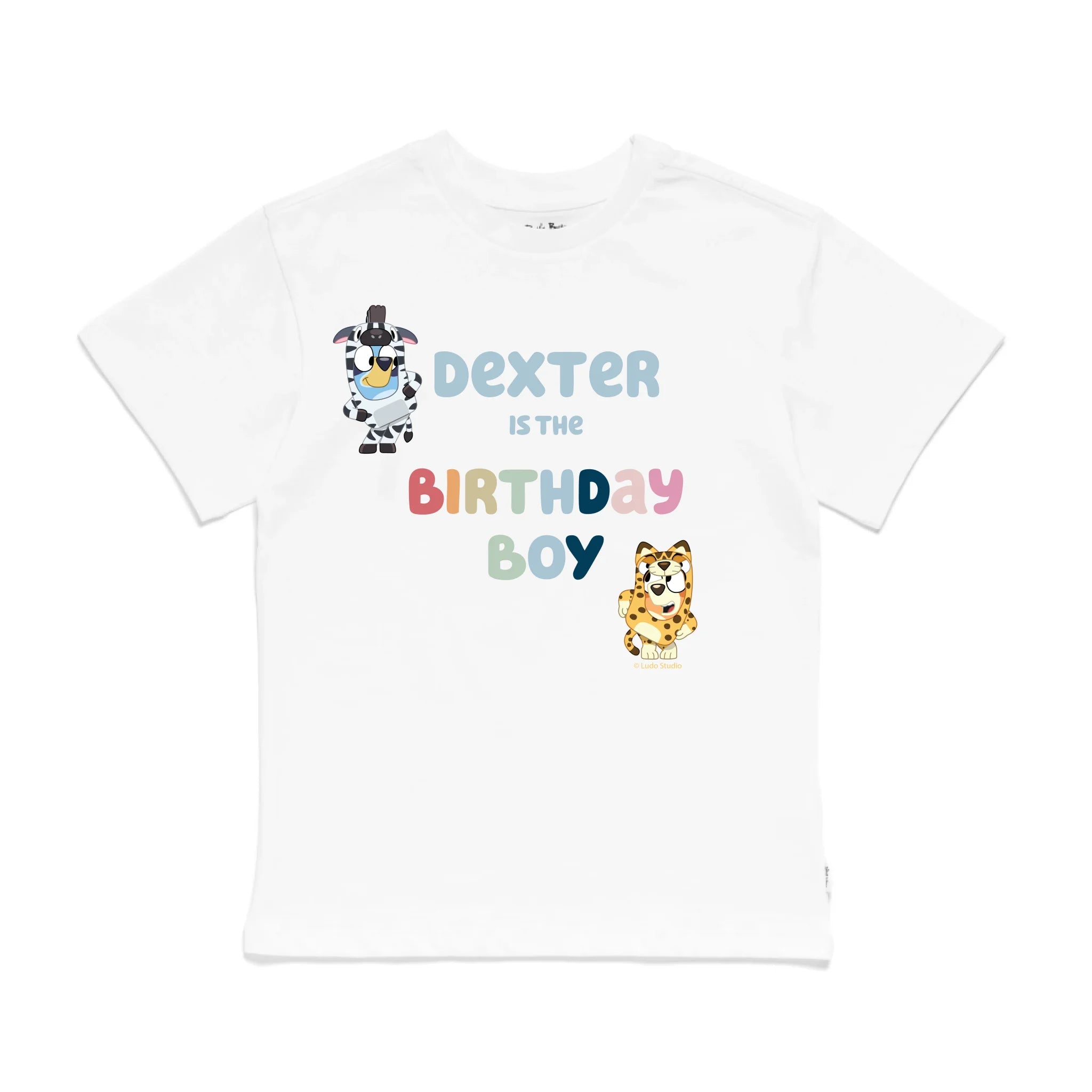 Roys Boys White T-Shirt Imagery_0009_Older Kids Front
