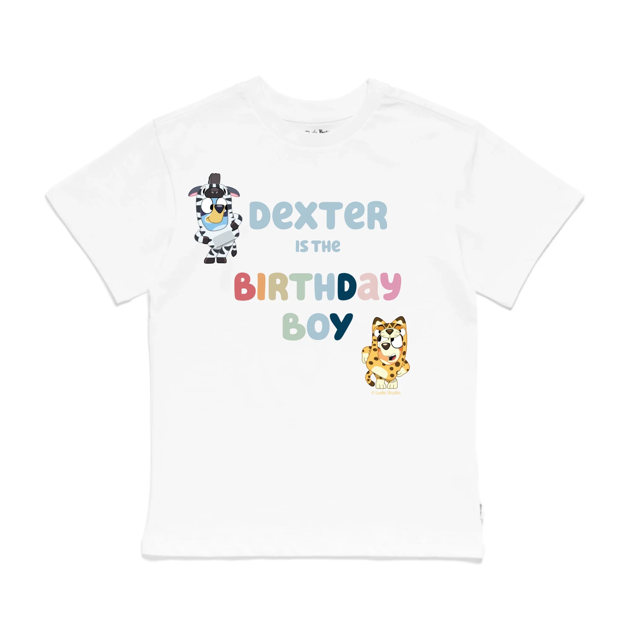 Roys Boys White T-Shirt Imagery_0009_Older Kids Front