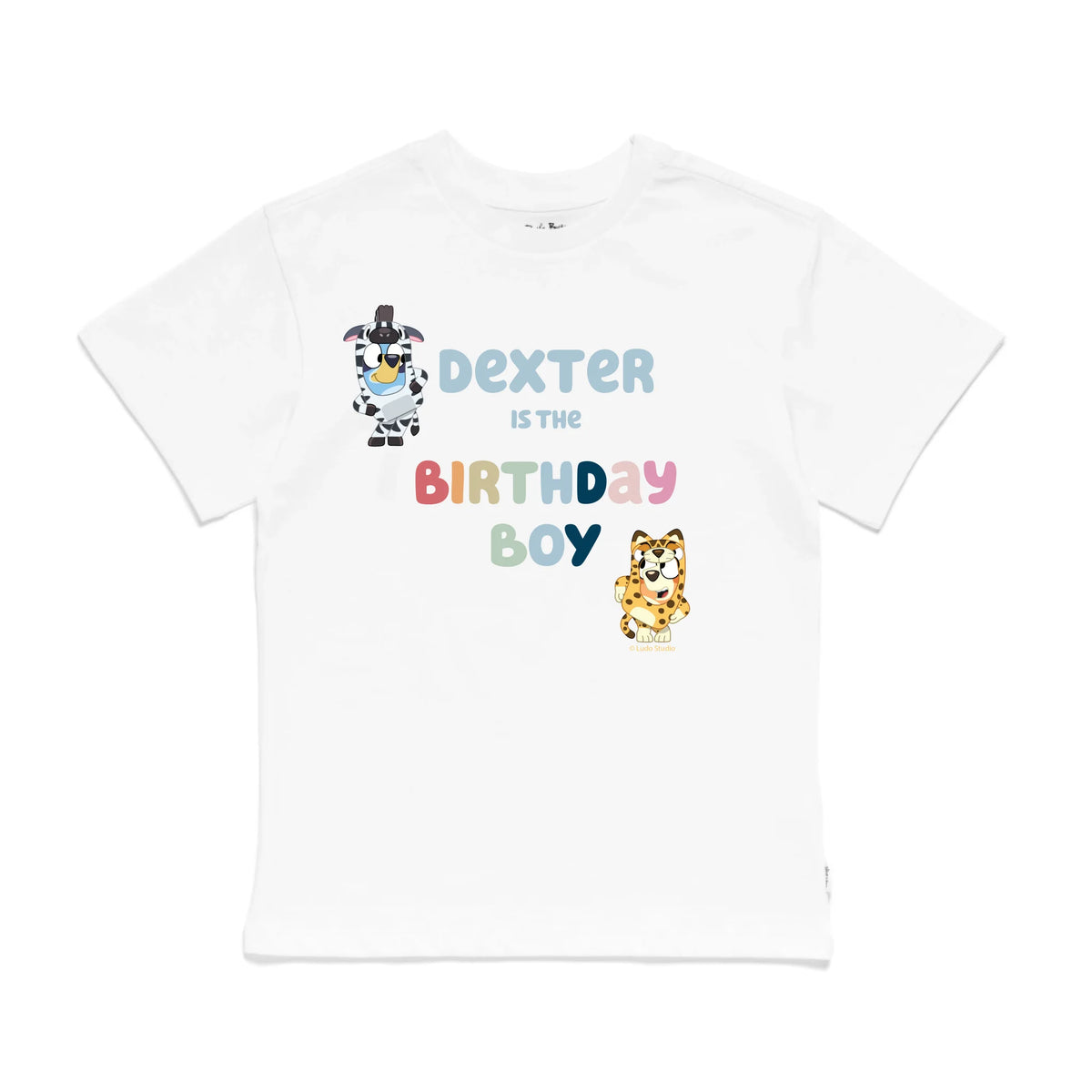 Roys Boys White T-Shirt Imagery_0009_Older Kids Front