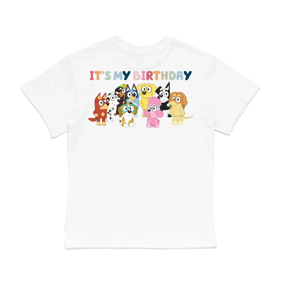 Roys Boys White T-Shirt Imagery_0008_Older Kids Back