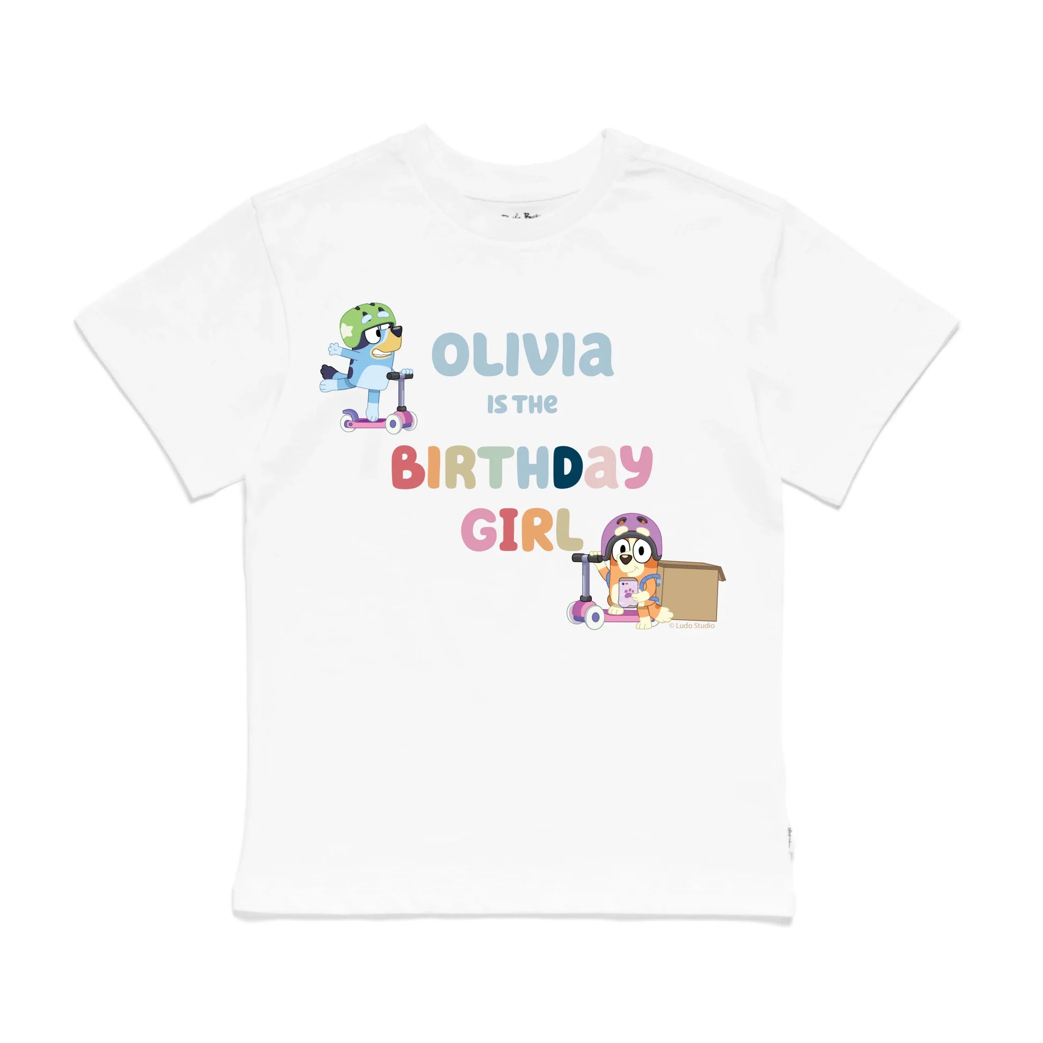 Personalised Bluey Birthday Girl Kids&