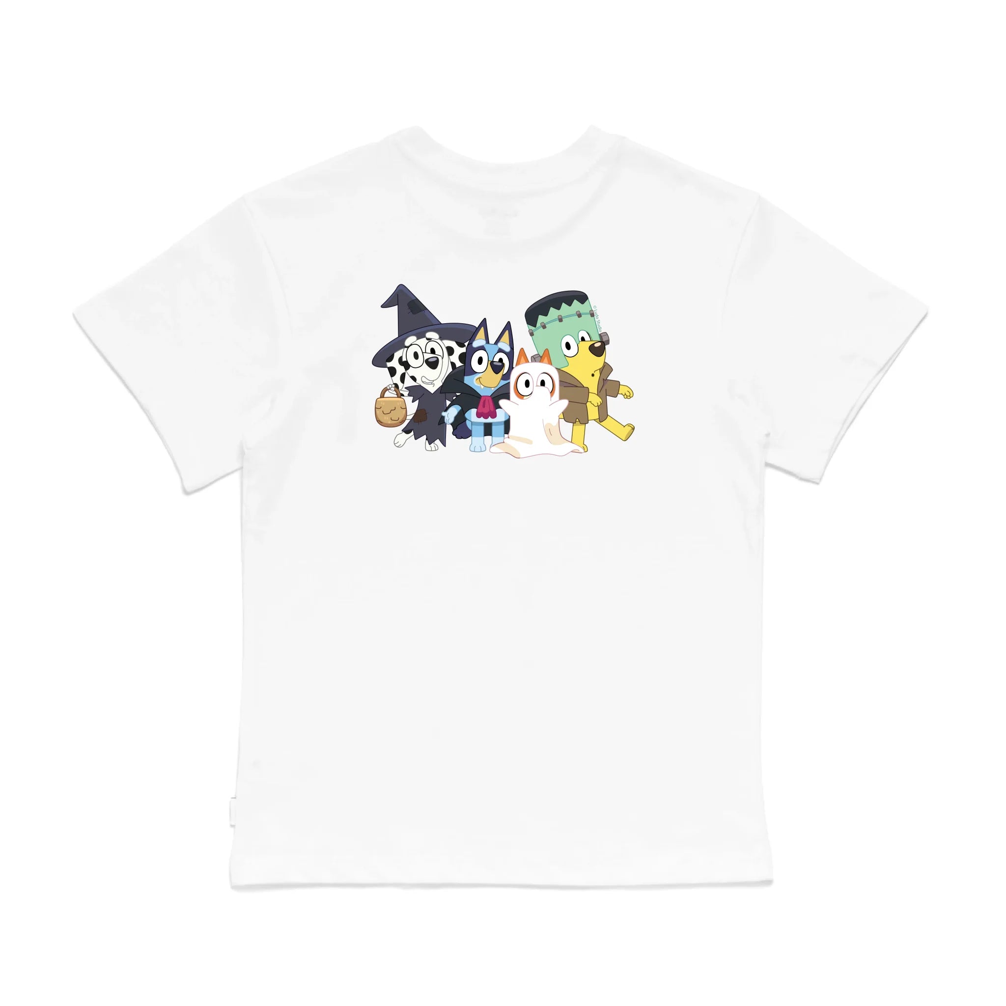 Roys Boys White T-Shirt Imagery_0008_Older Kids Back
