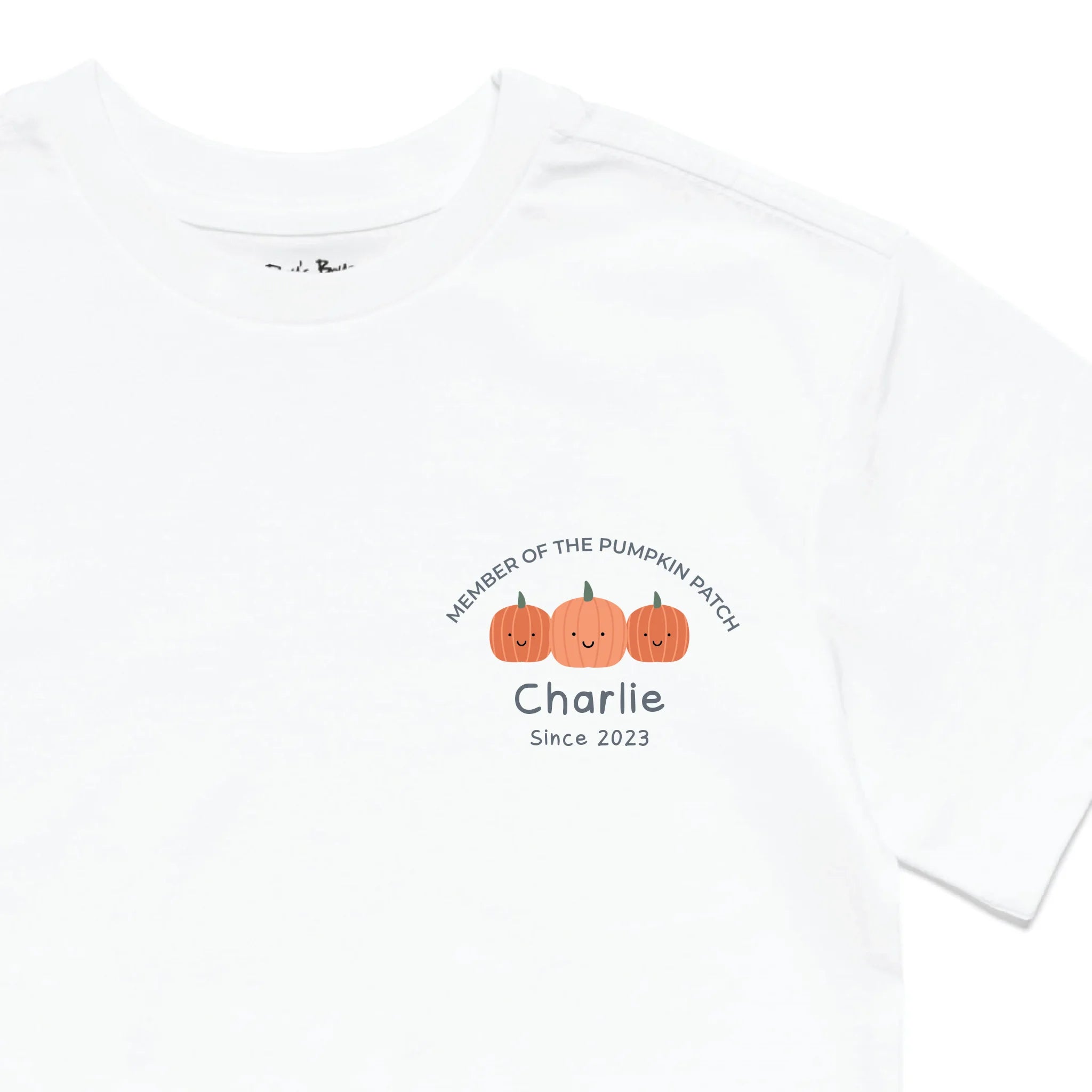 Roys Boys White T-Shirt Imagery_0010_Older Kids Front Zoomed In-01