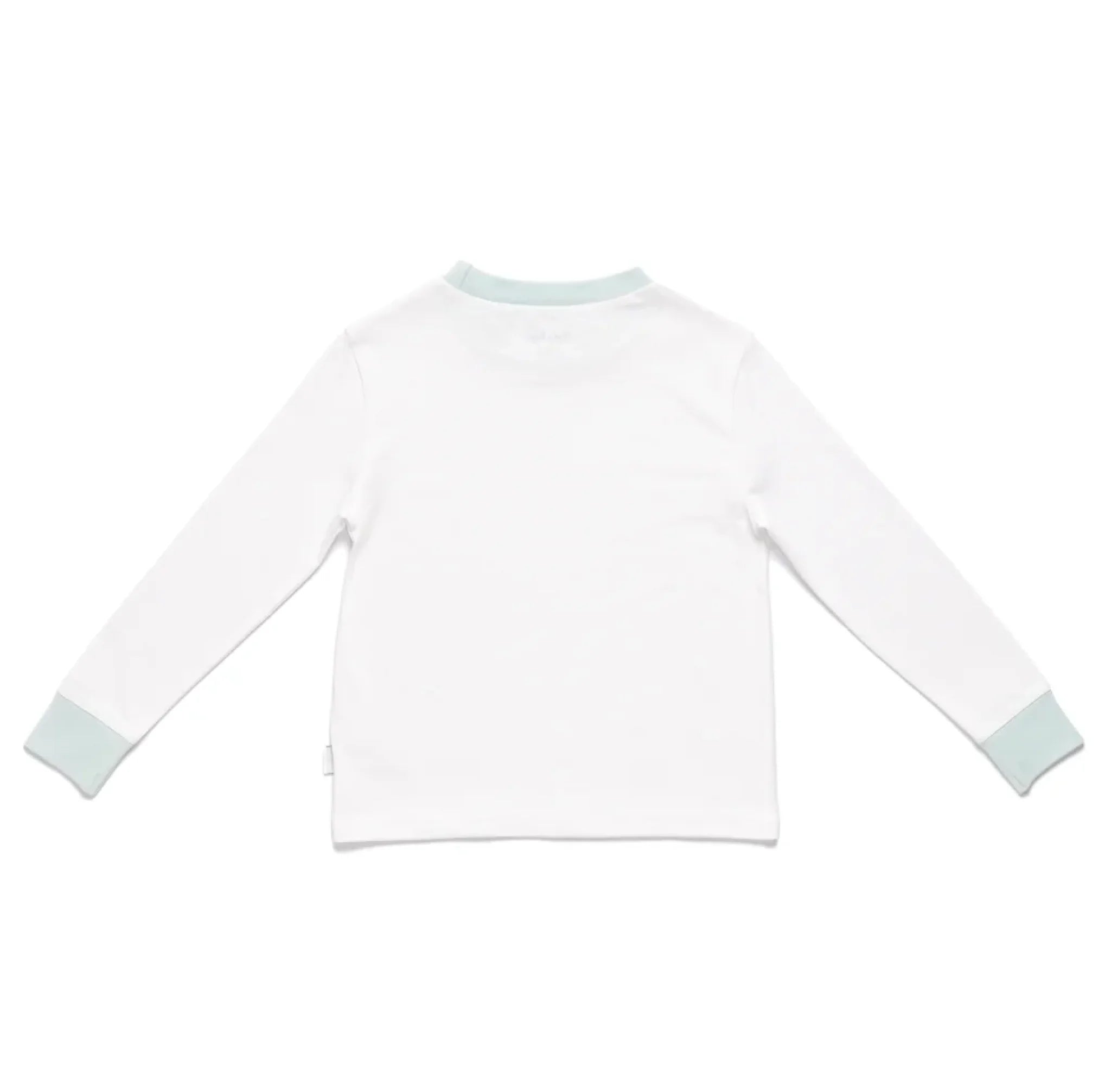 Roys_Boys_Pyjamas_Blank_Long_Sleeve_Tee_back