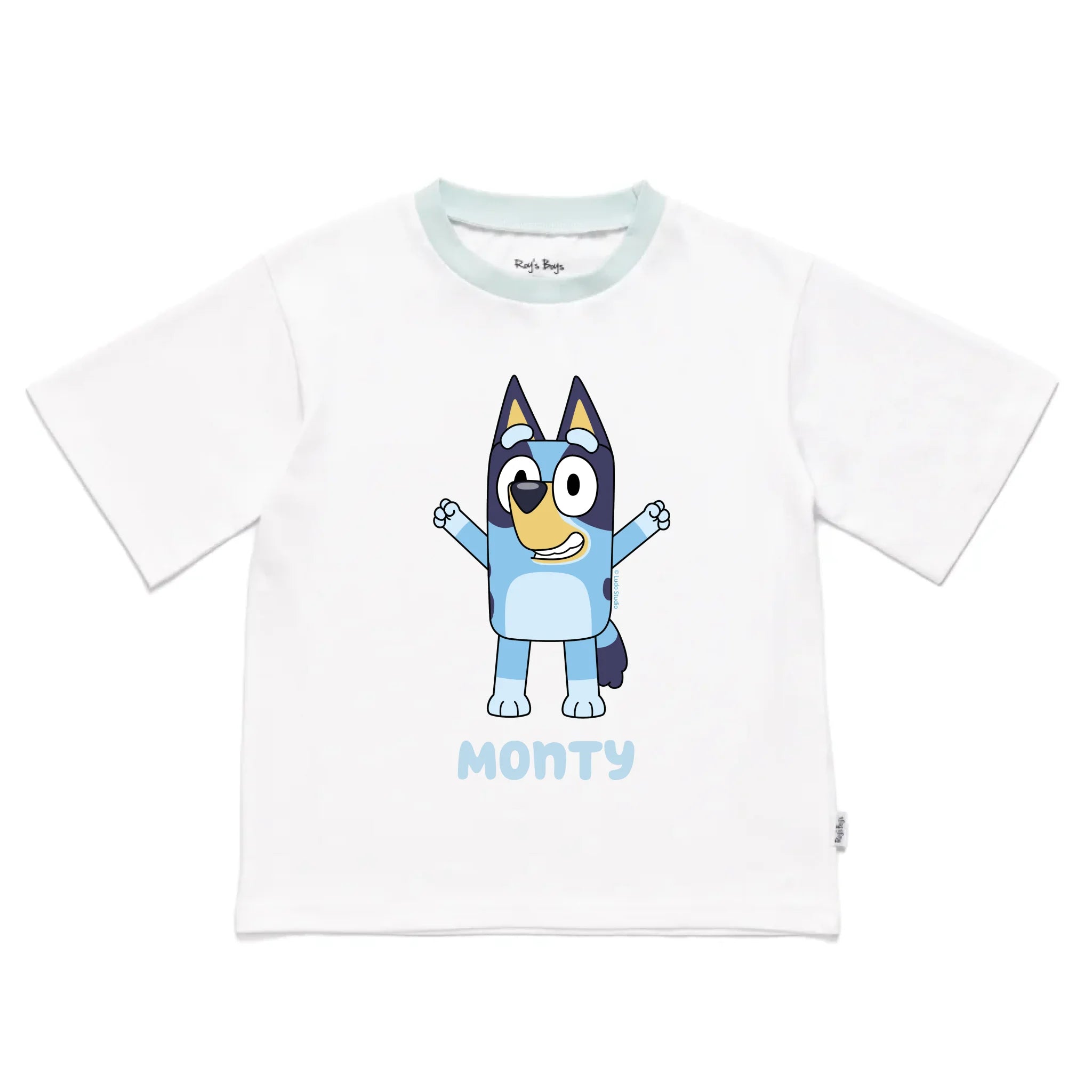 Roys_Boys_Pyjamas_Blank_Short_Sleeve_Tee_front