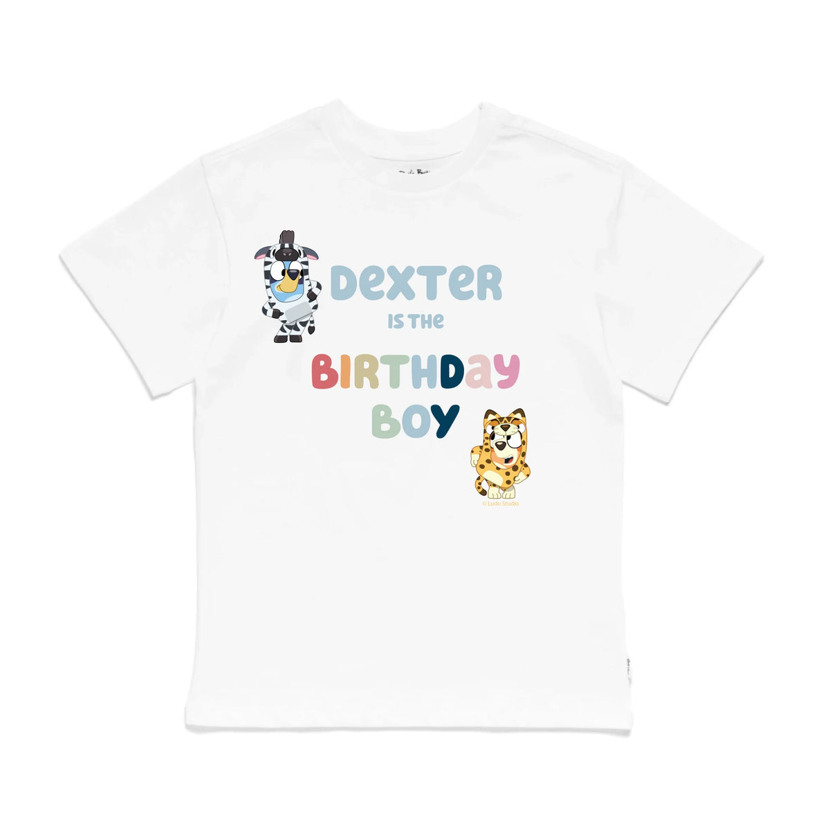 Roys Boys White T-Shirt Imagery_0009_Older Kids Front