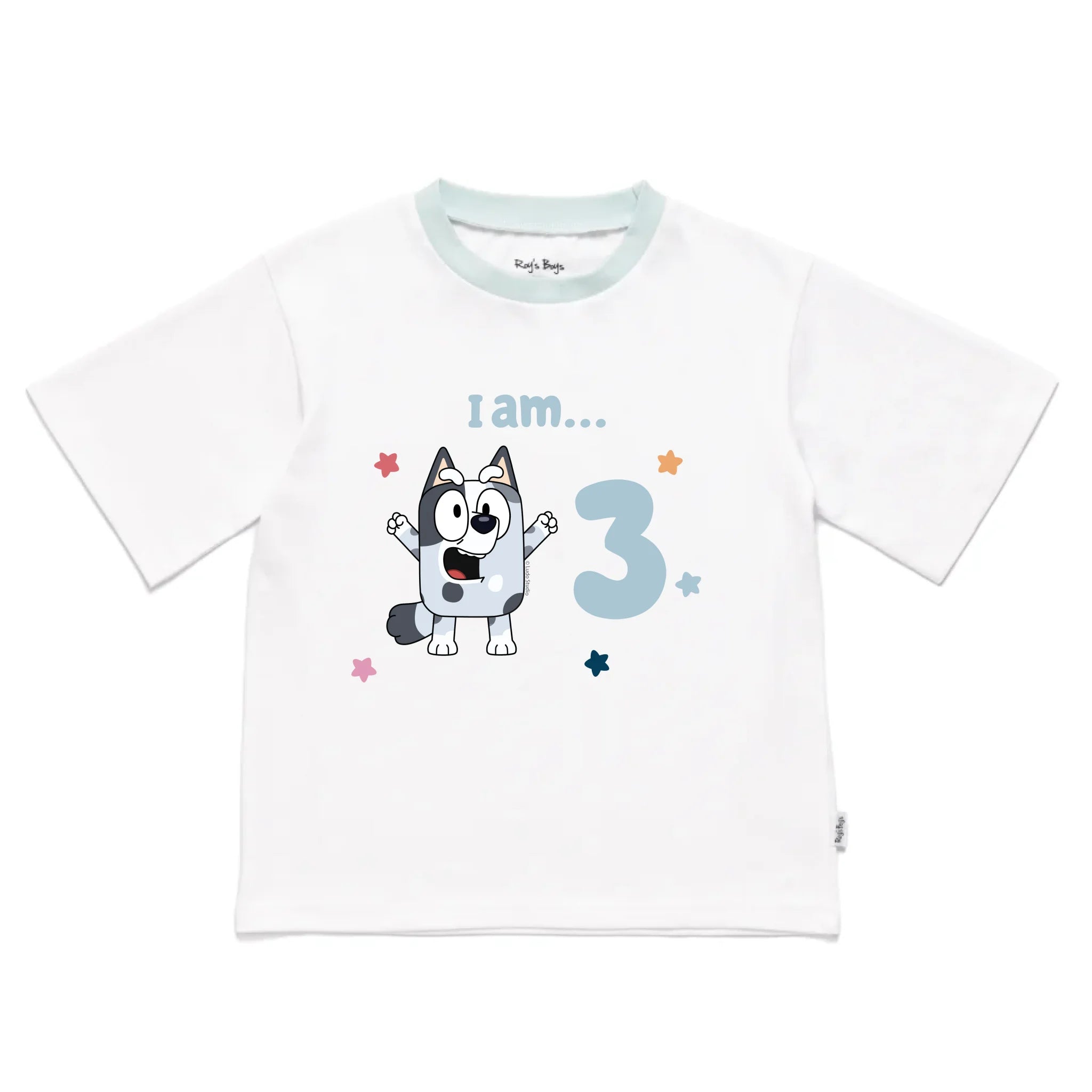 Roys_Boys_Pyjamas_Blank_Short_Sleeve_Tee_front