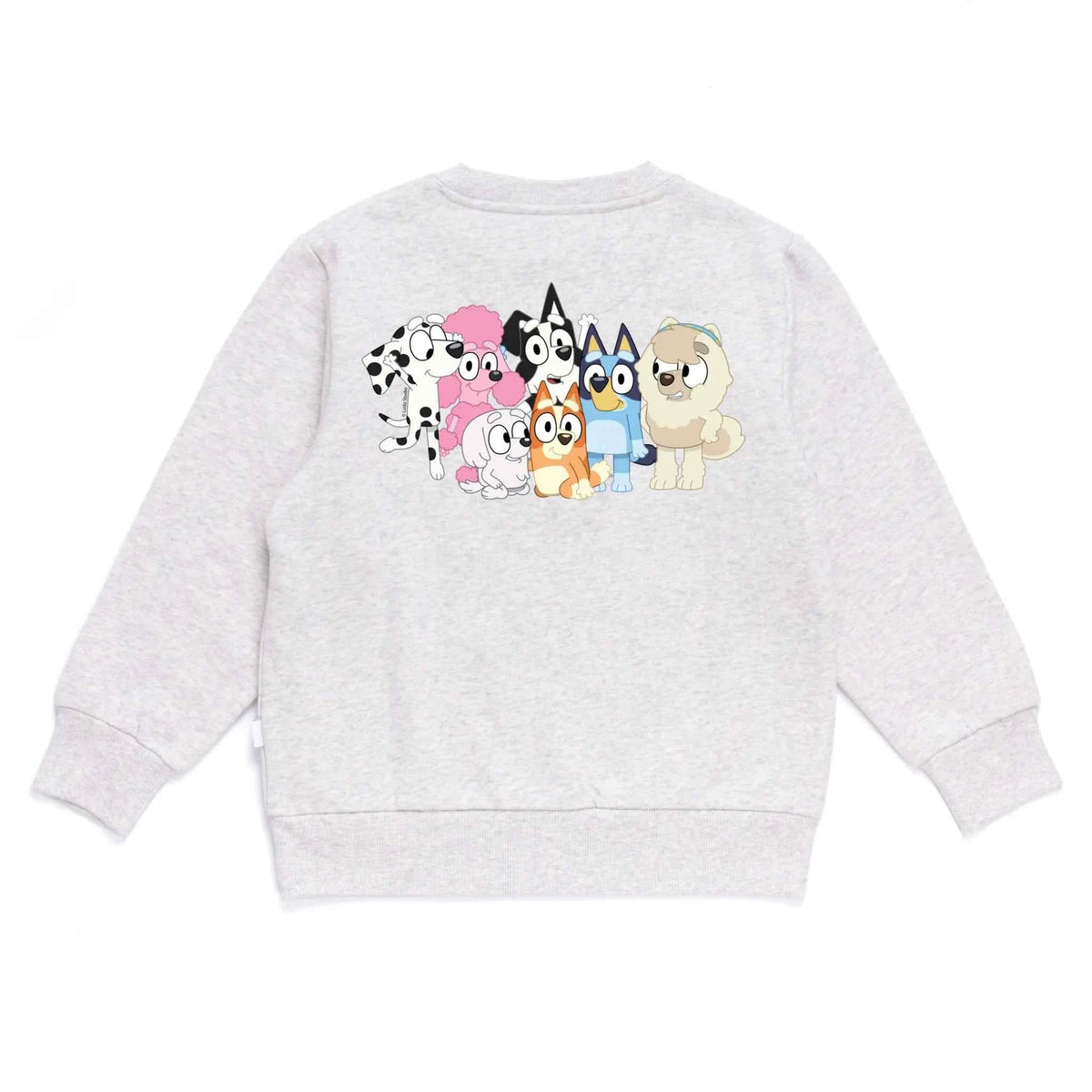 Personalised Bluey Kids&