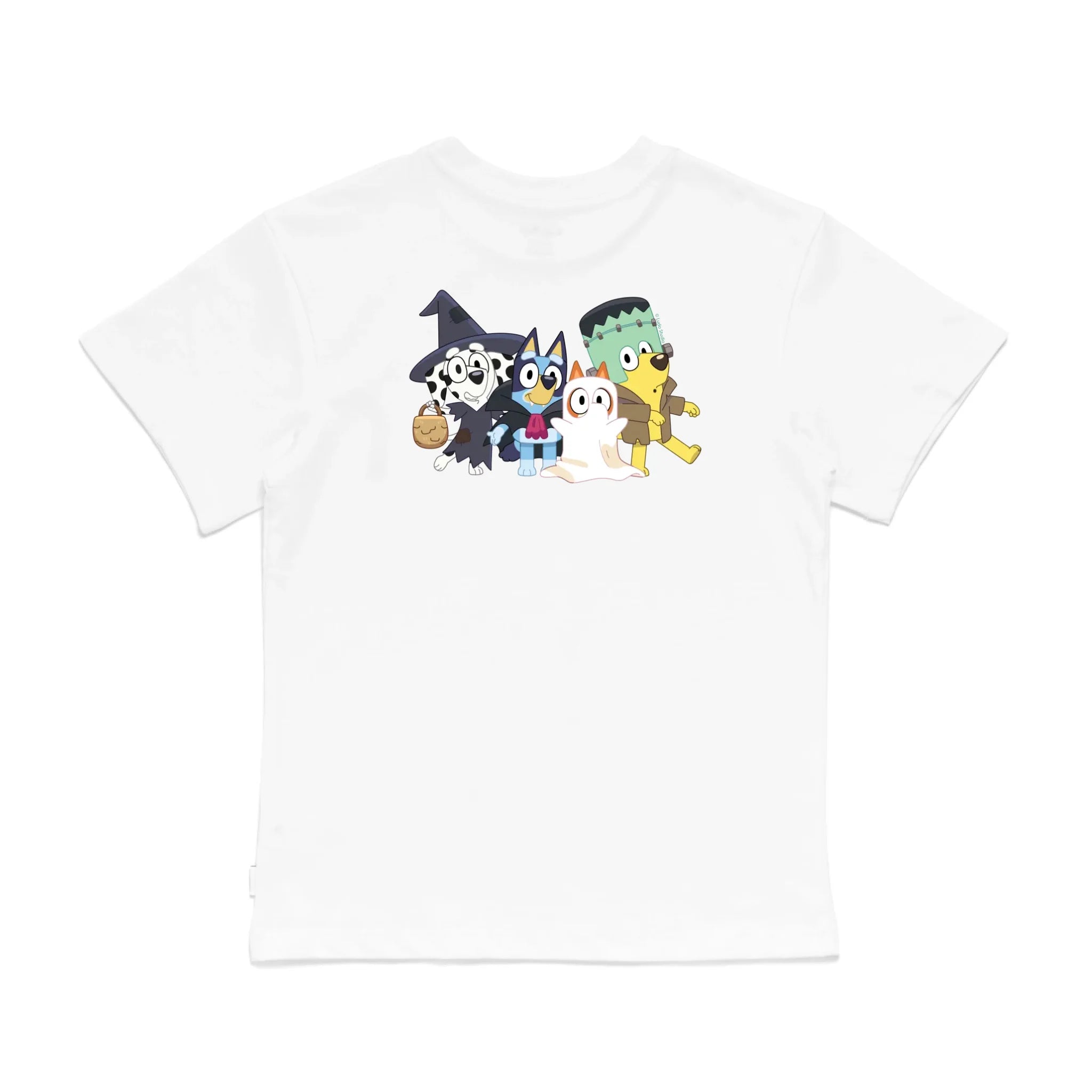 Roys Boys White T-Shirt Imagery_0008_Older Kids Back