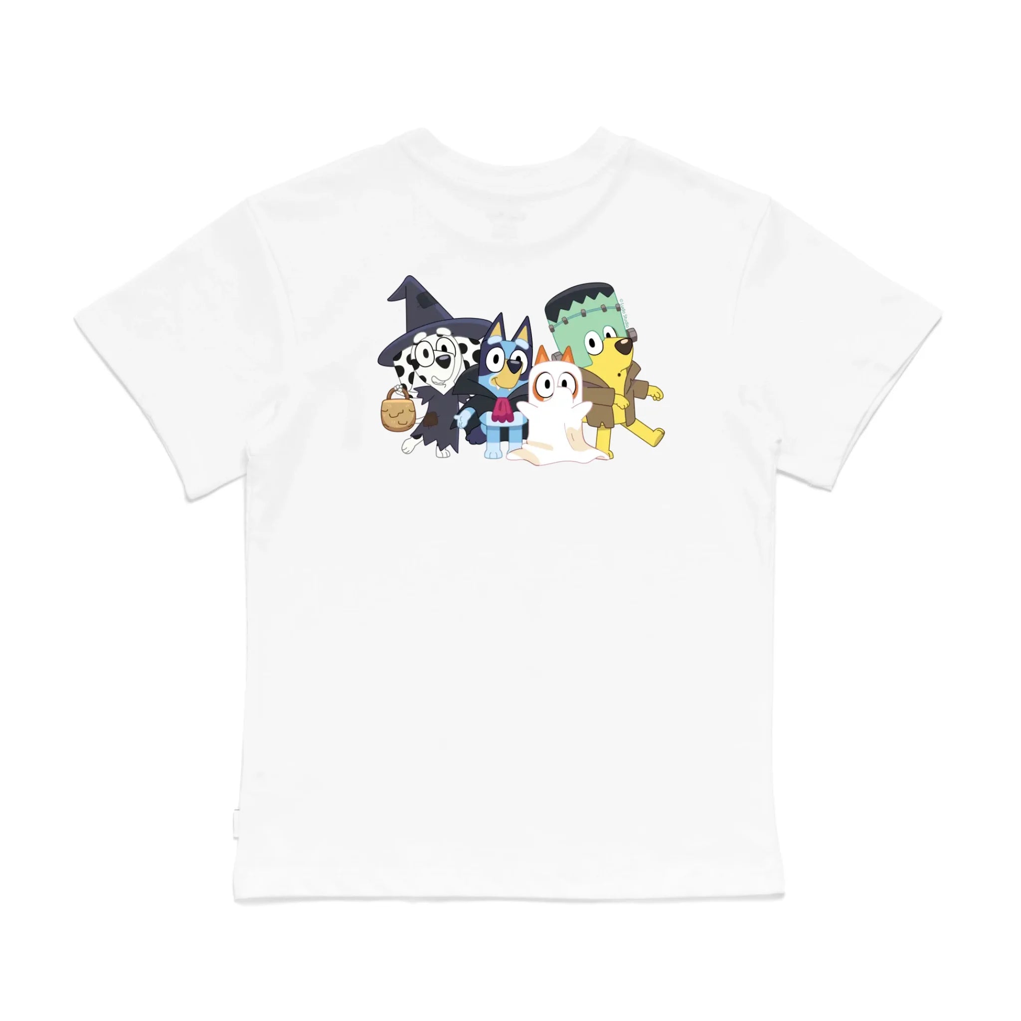 Roys Boys White T-Shirt Imagery_0008_Older Kids Back