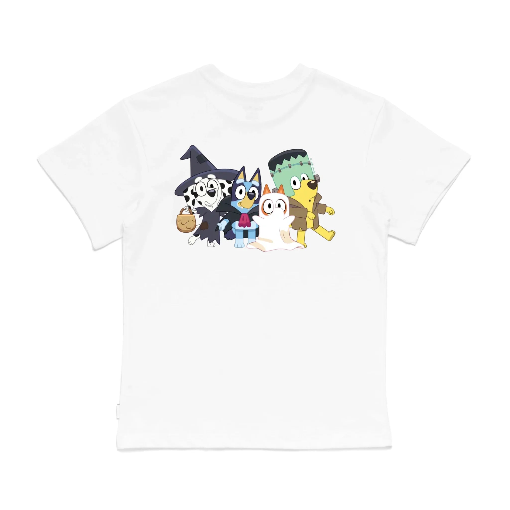 Roys Boys White T-Shirt Imagery_0008_Older Kids Back