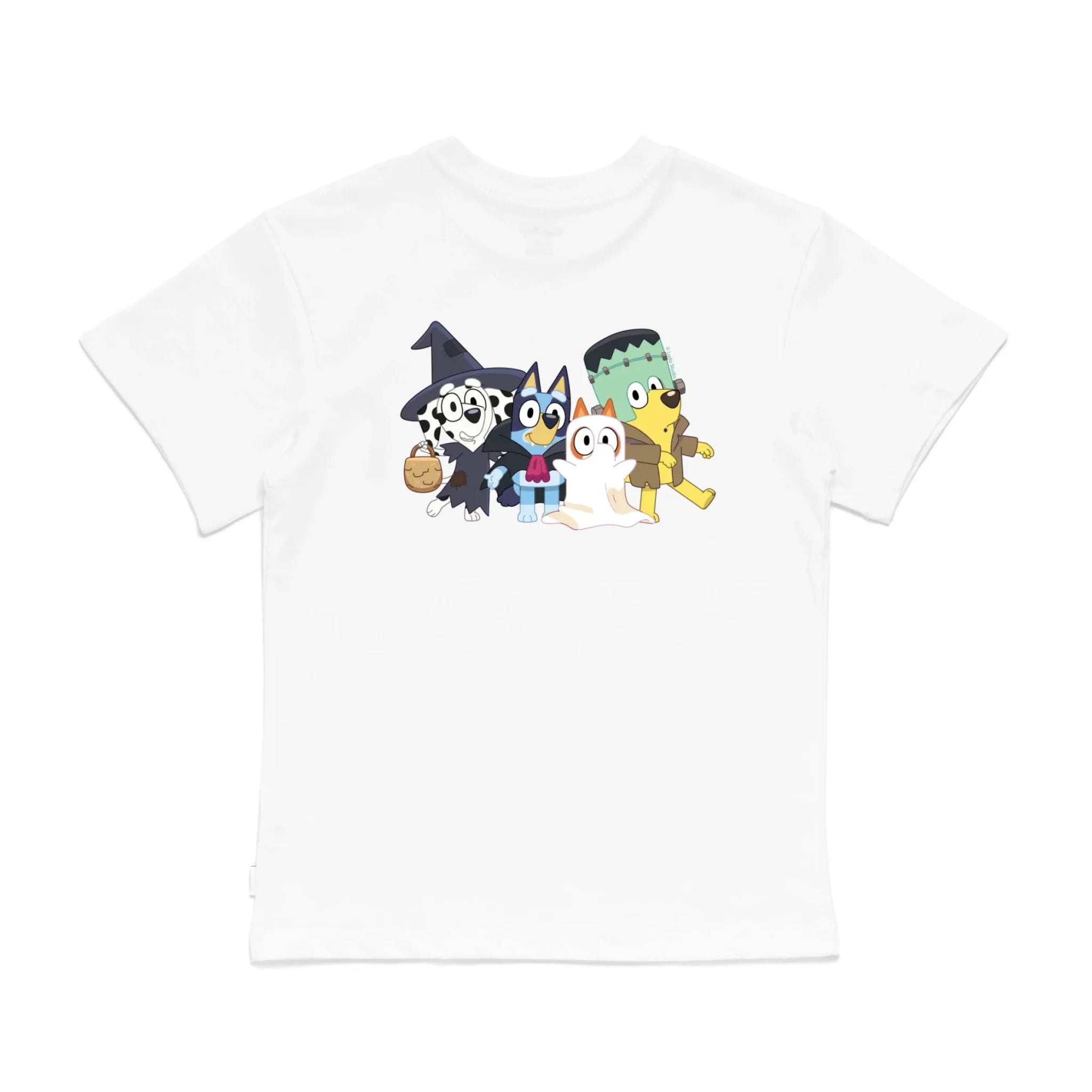 Roys Boys White T-Shirt Imagery_0008_Older Kids Back