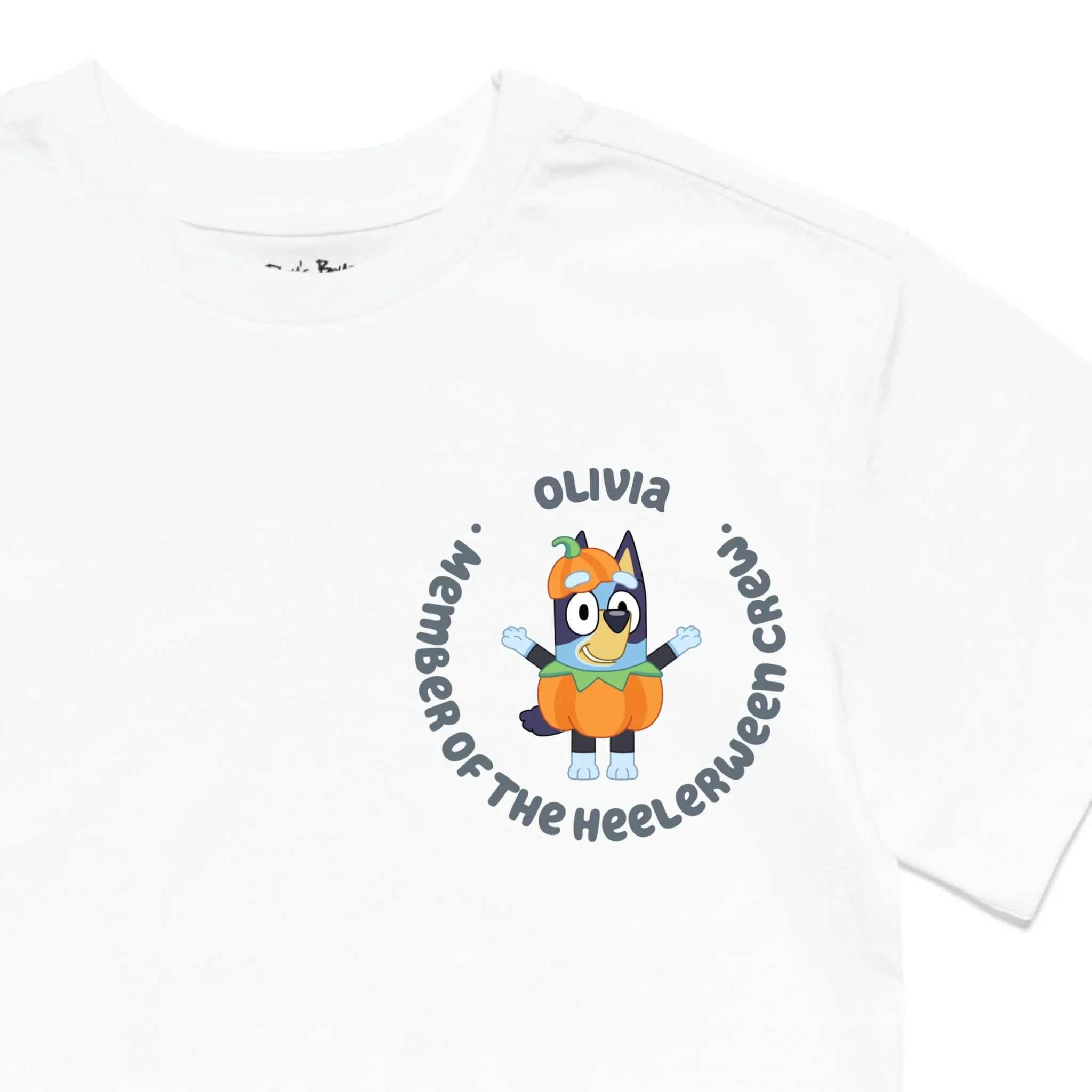 Roys Boys White T-Shirt Imagery_0010_Older Kids Front Zoomed In-01