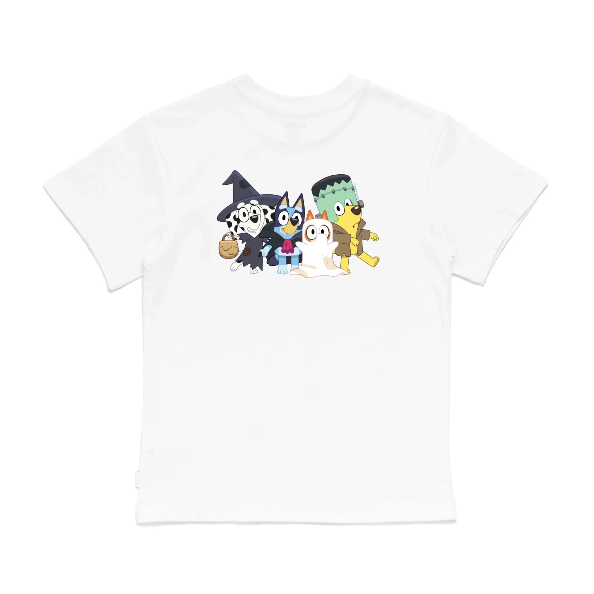 Roys Boys White T-Shirt Imagery_0008_Older Kids Back