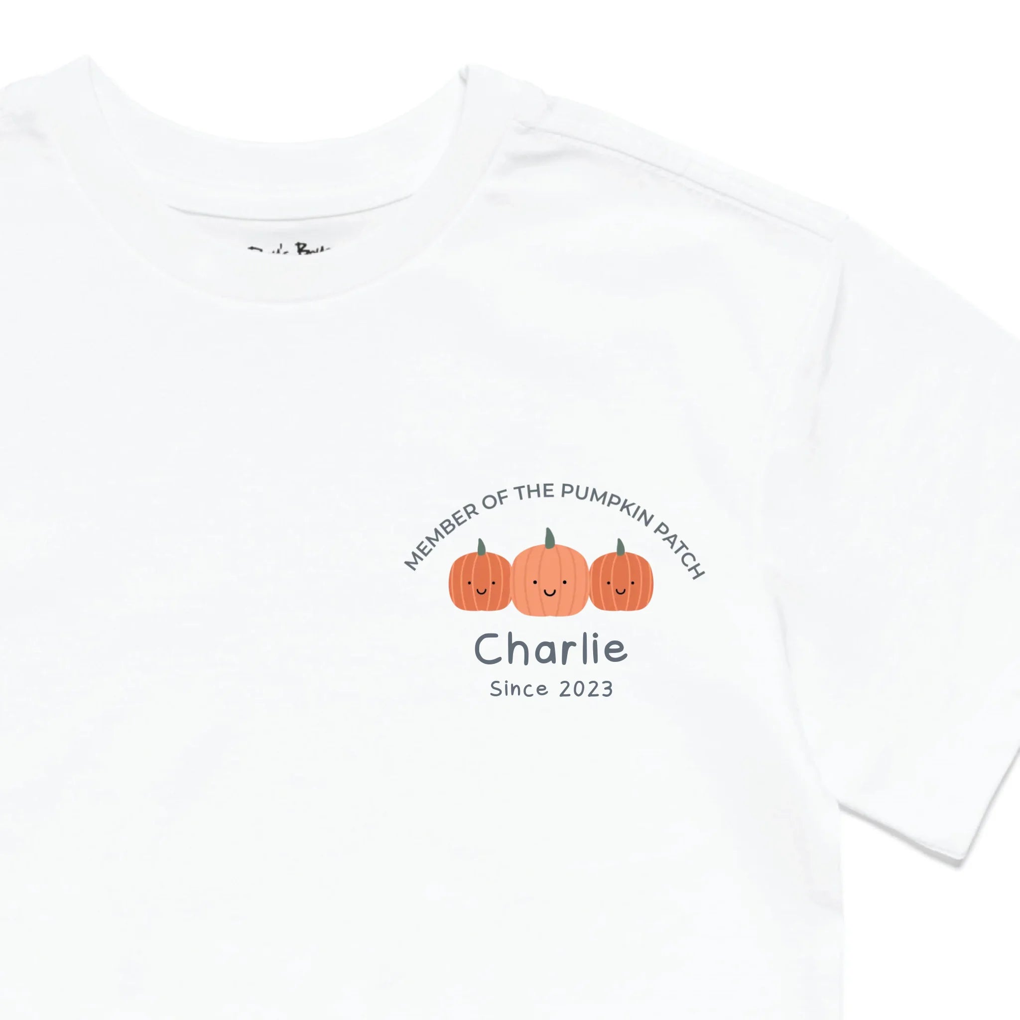 Roys Boys White T-Shirt Imagery_0010_Older Kids Front Zoomed In-01