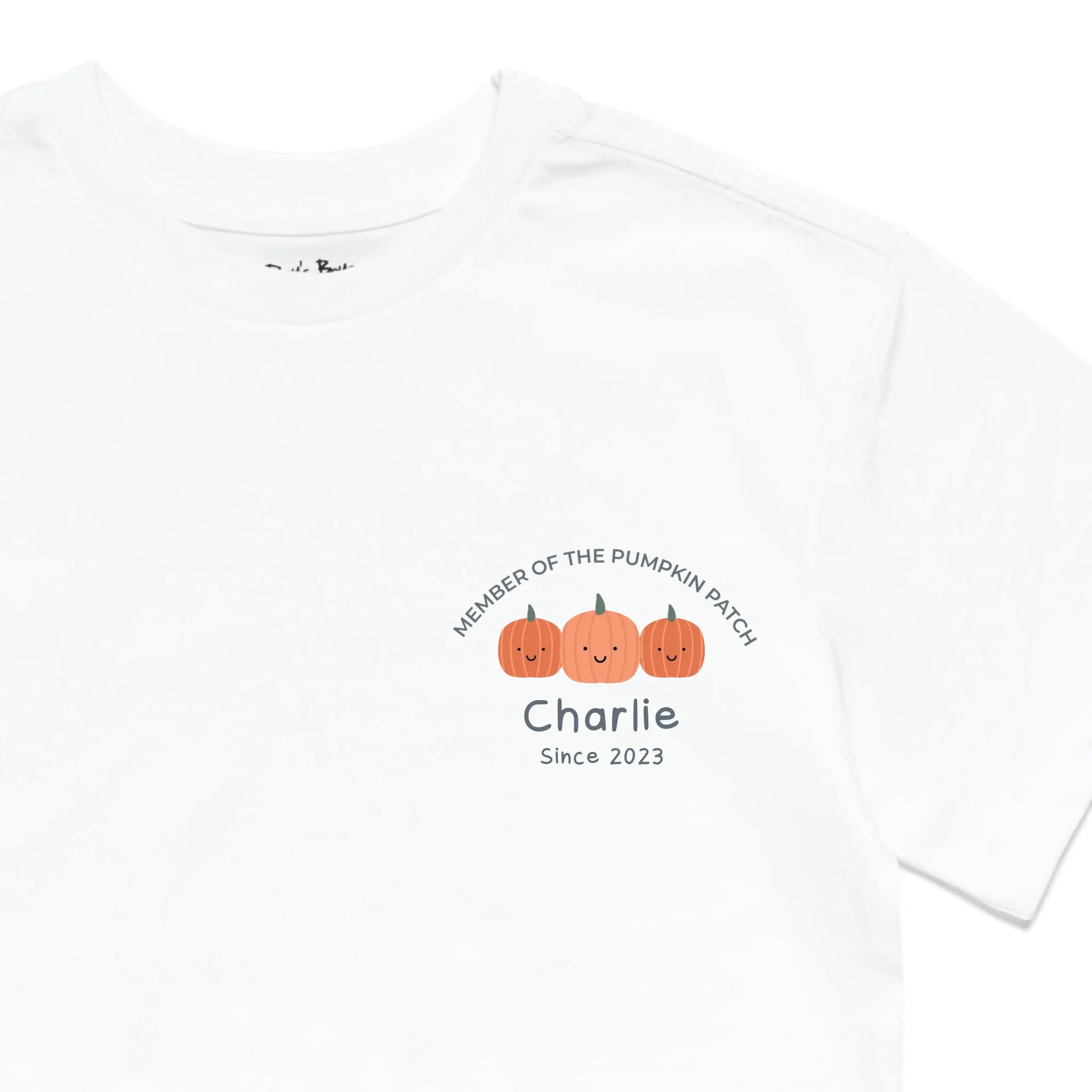 Roys Boys White T-Shirt Imagery_0010_Older Kids Front Zoomed In-01