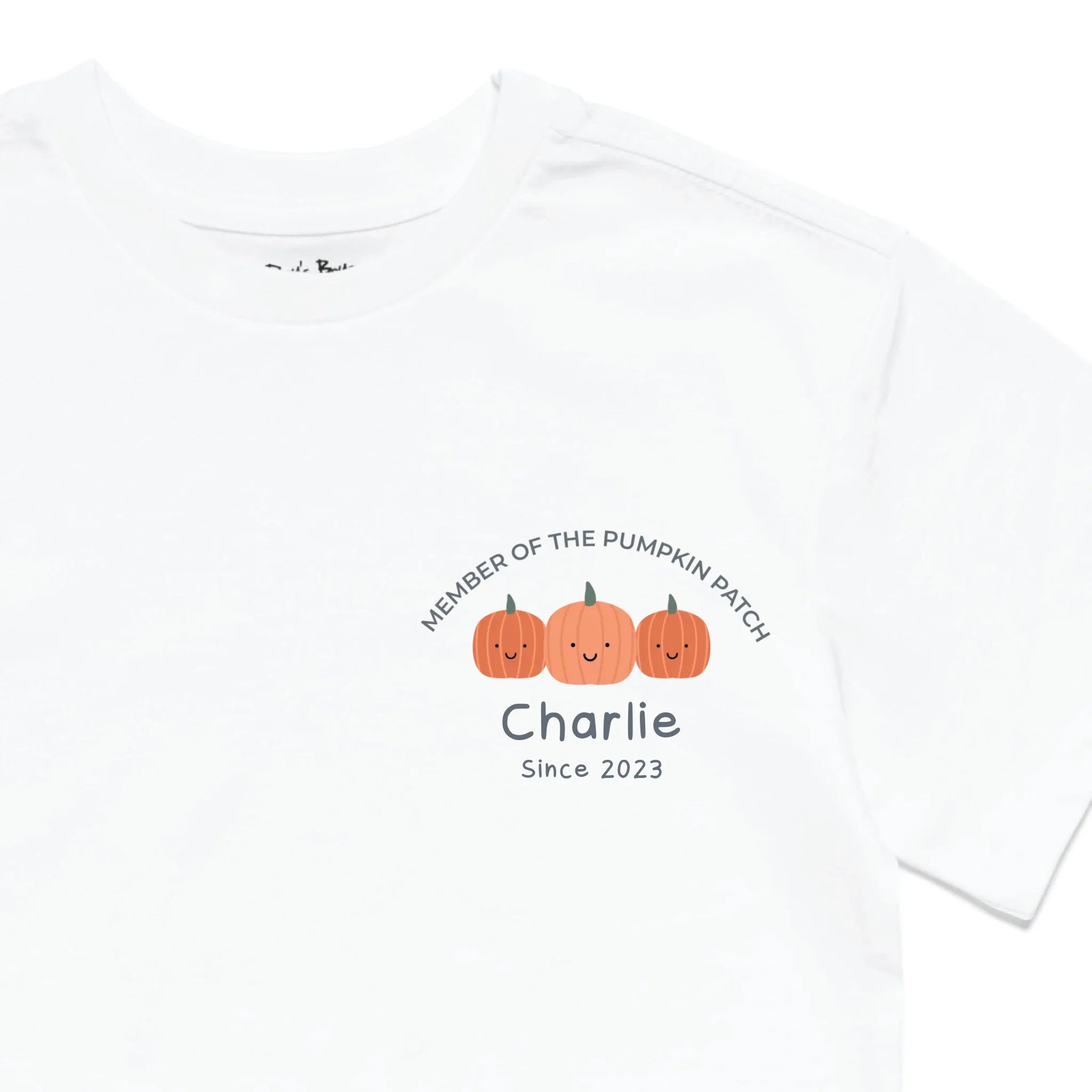 Roys Boys White T-Shirt Imagery_0010_Older Kids Front Zoomed In-01