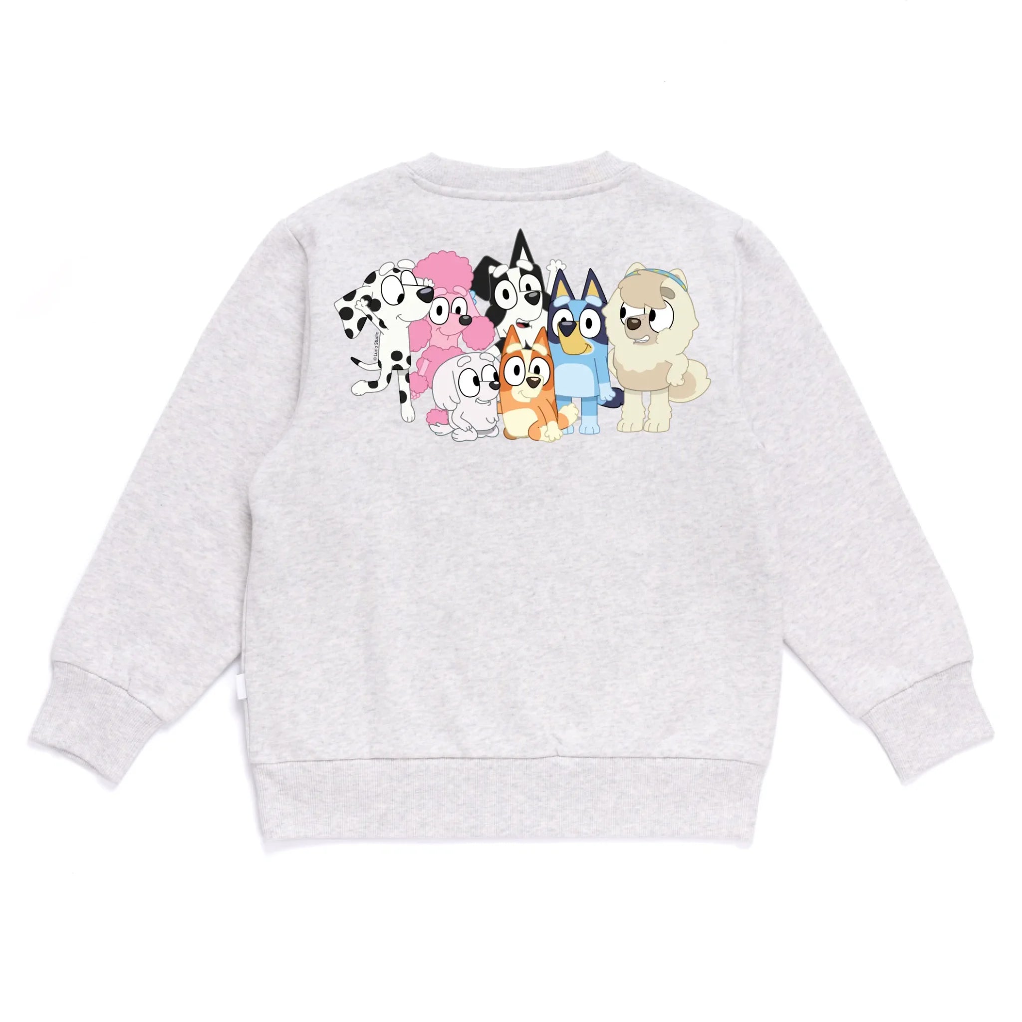 Personalised Initial Bluey Kids&