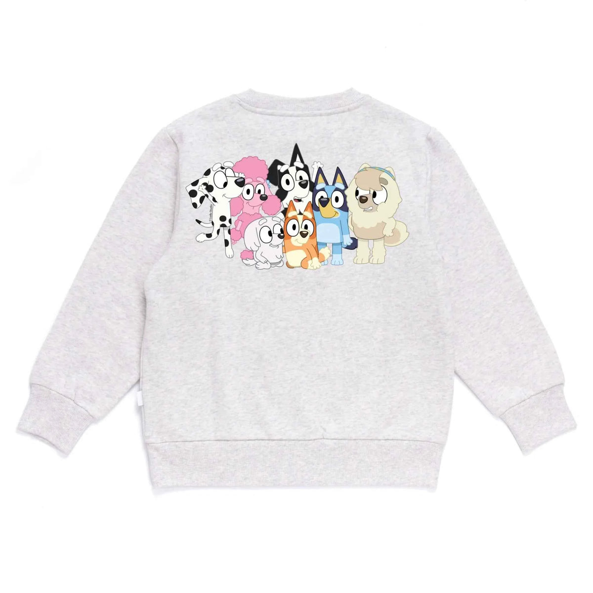 Personalised Bluey Kids&