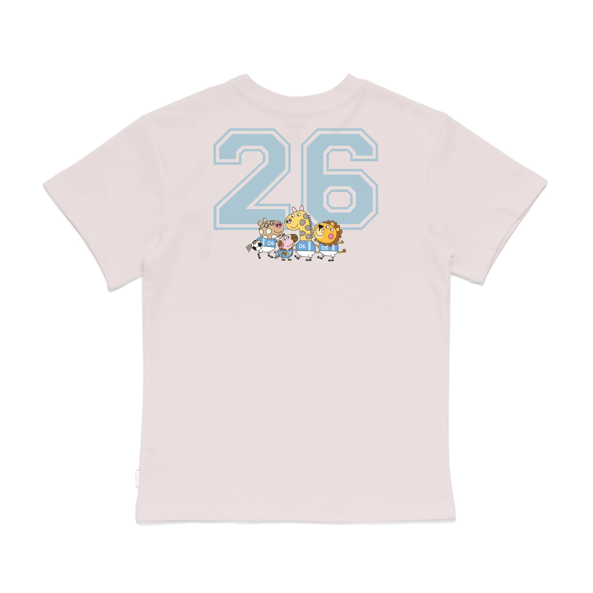 Roys Boys Pink T-Shirt Imagery_0008_Older Kids Back