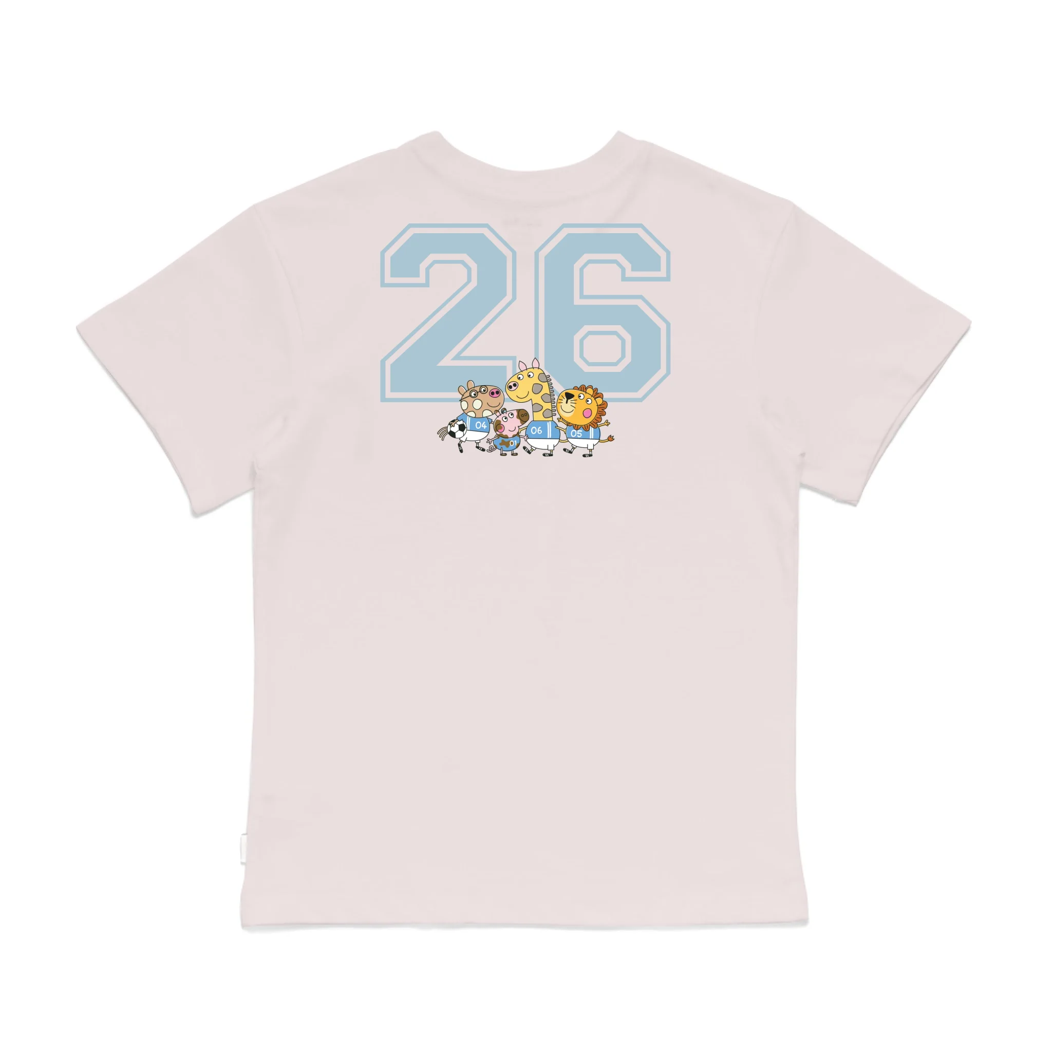 Roys Boys Pink T-Shirt Imagery_0008_Older Kids Back