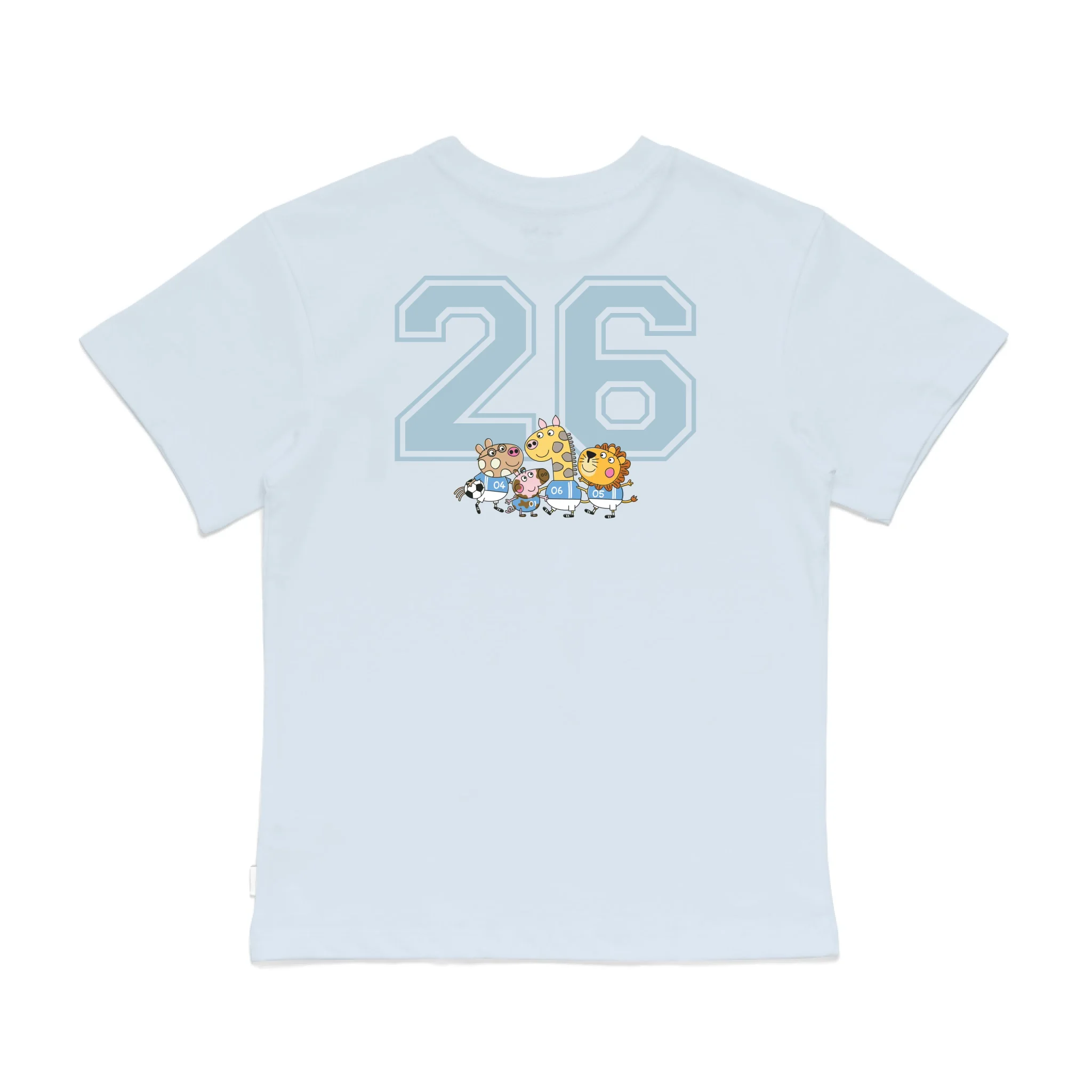 Roys Boys Bue T-Shirt Imagery_0008_Older Kids Back