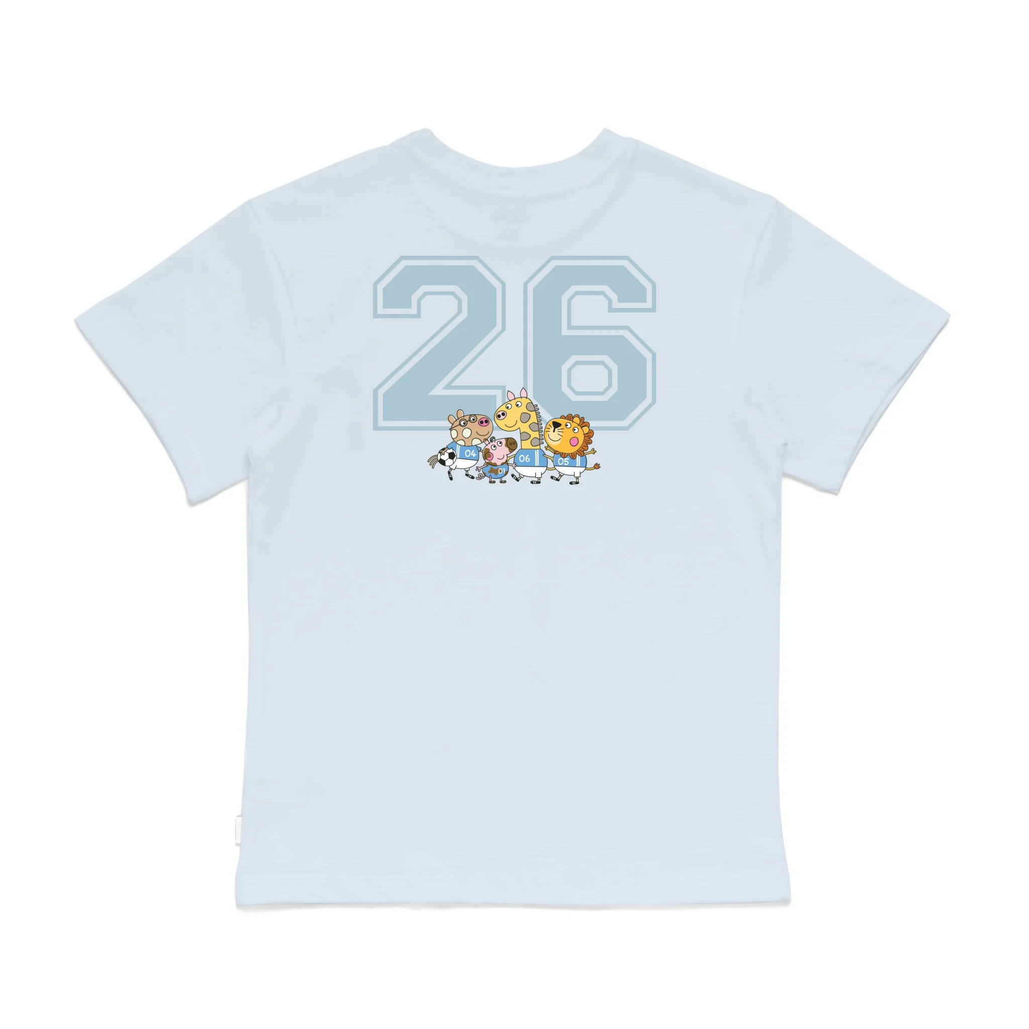 Roys Boys Bue T-Shirt Imagery_0008_Older Kids Back