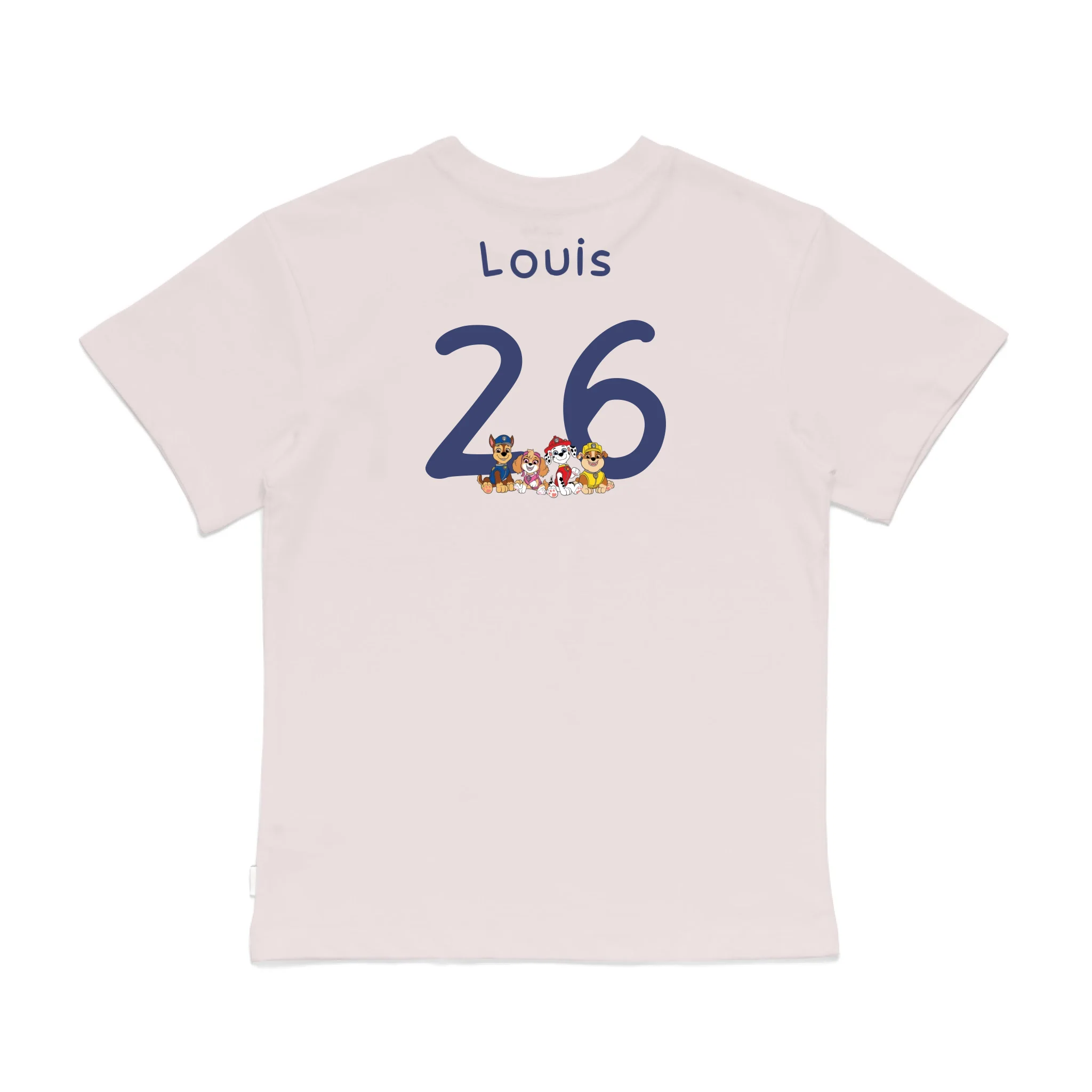 Roys Boys Pink T-Shirt Imagery_0008_Older Kids Back