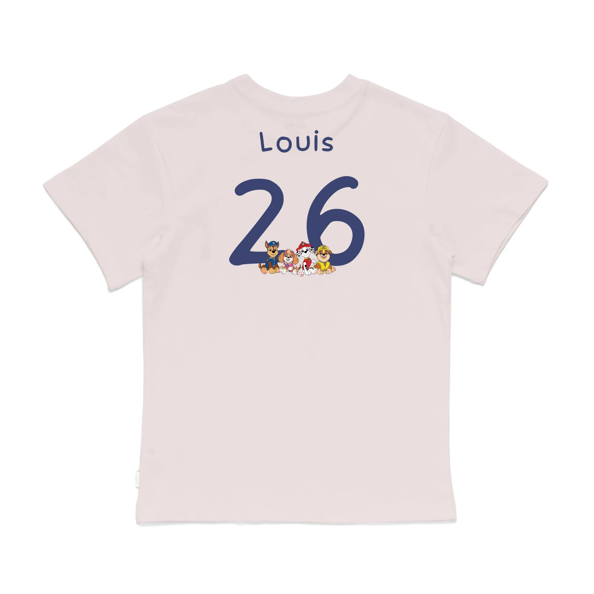 Roys Boys Pink T-Shirt Imagery_0008_Older Kids Back
