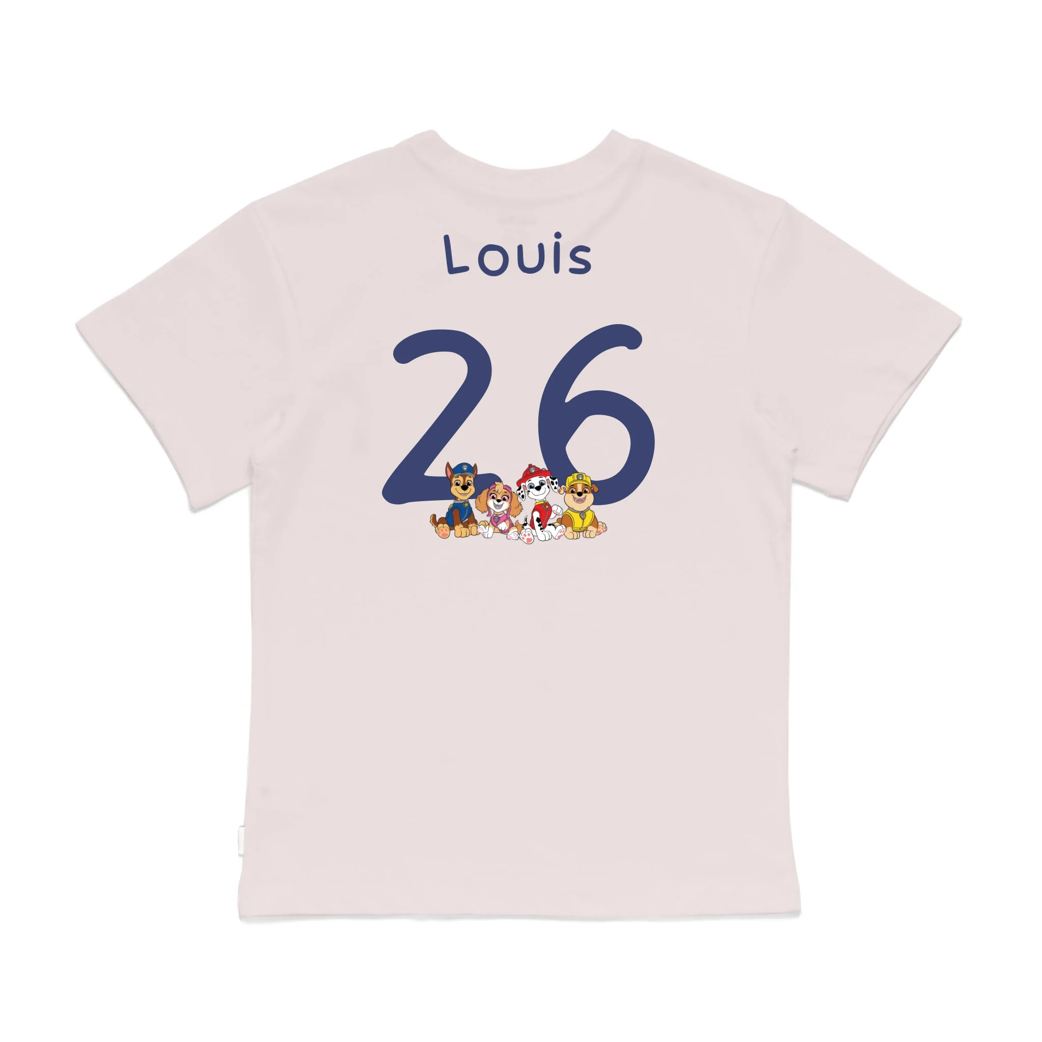 Roys Boys Pink T-Shirt Imagery_0008_Older Kids Back