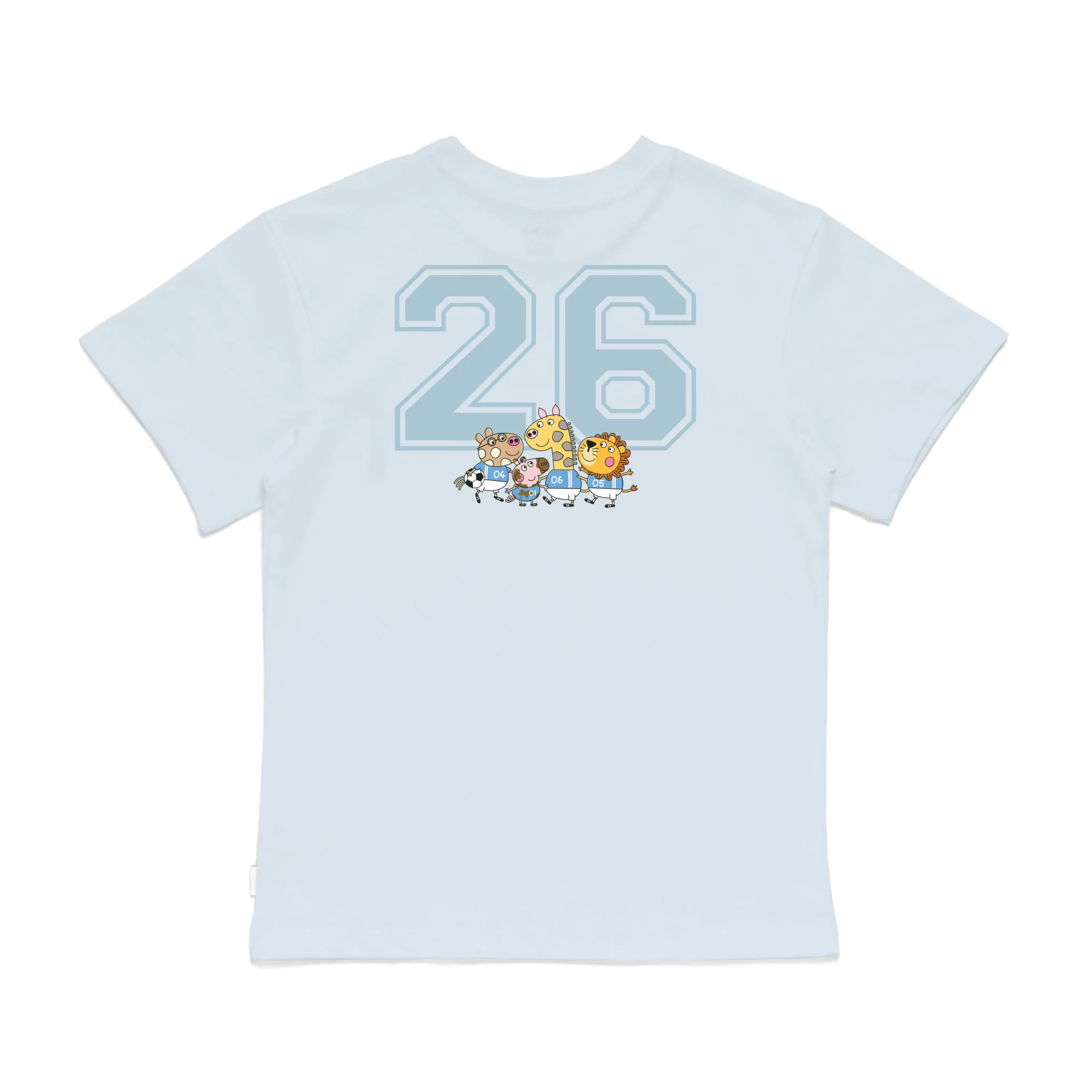 Roys Boys Bue T-Shirt Imagery_0008_Older Kids Back