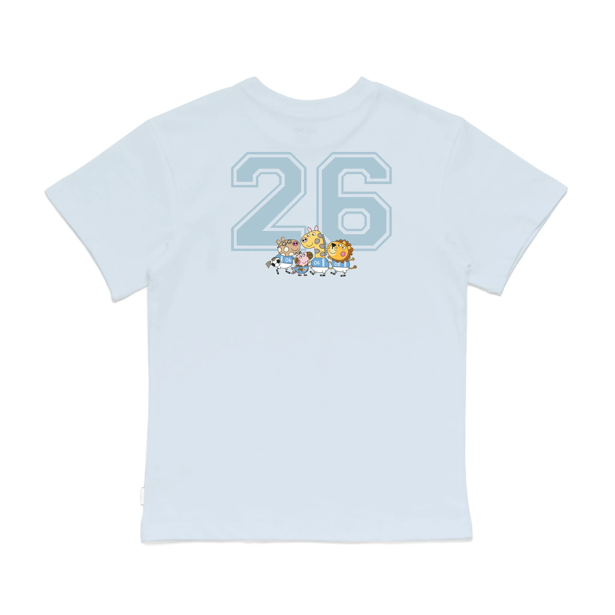 Roys Boys Bue T-Shirt Imagery_0008_Older Kids Back