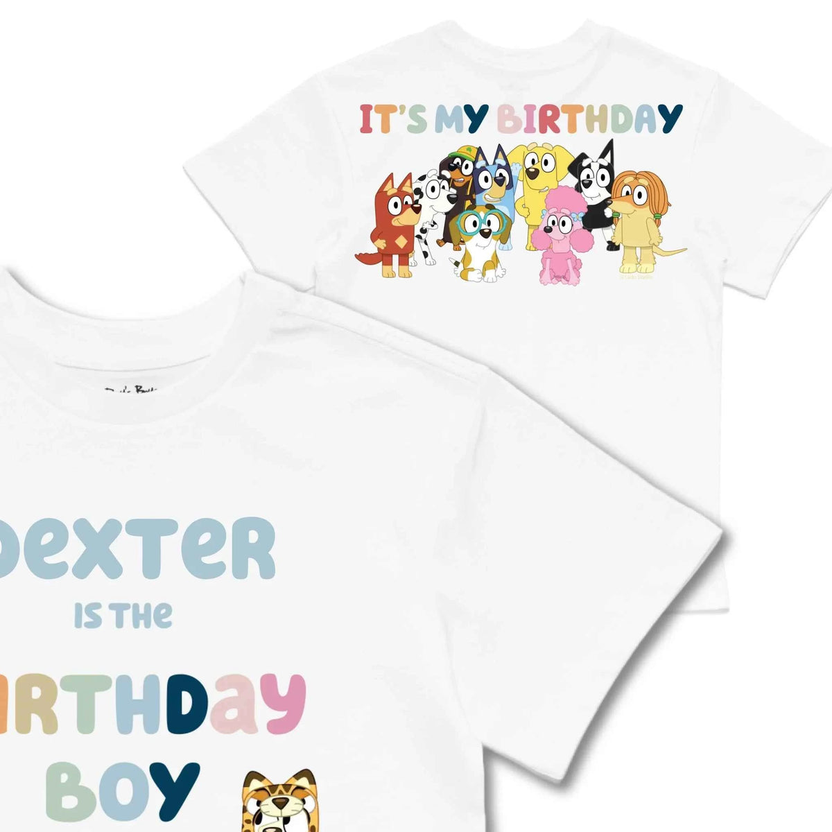 Personalised Bluey Birthday Boy Kids&