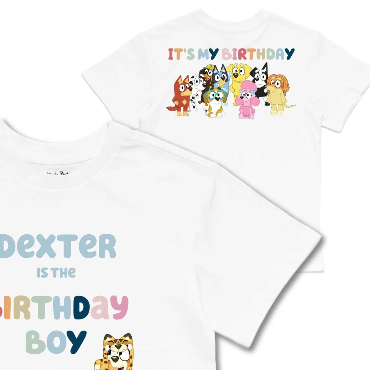 Personalised Bluey Birthday Boy Kids&