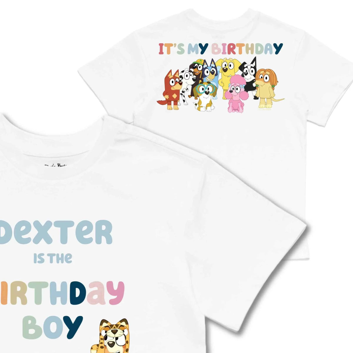 Personalised Bluey Birthday Boy Kids&