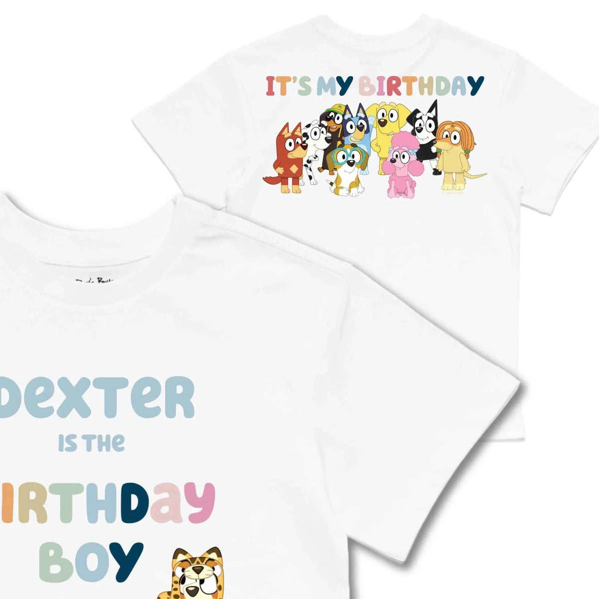 Personalised Bluey Birthday Boy Kids&