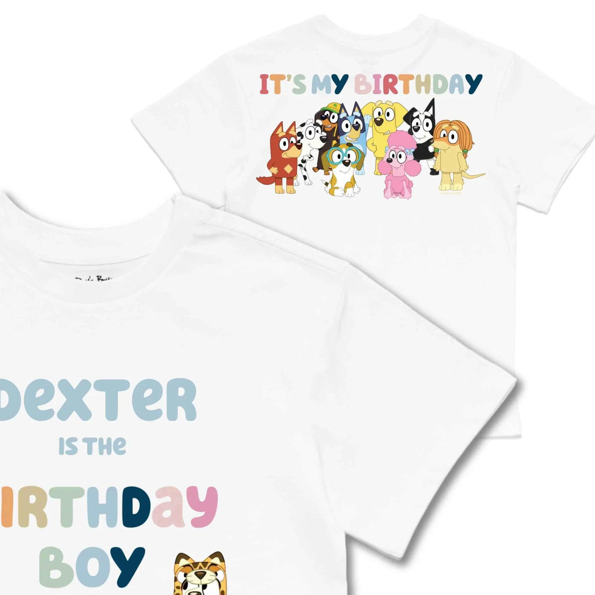 Personalised Bluey Birthday Boy Kids&