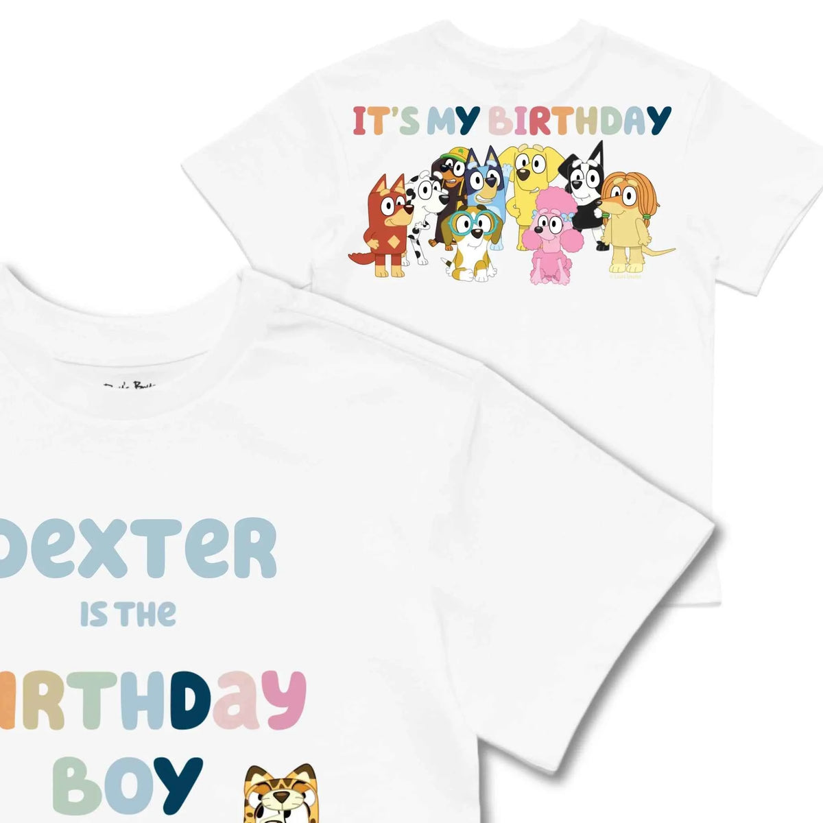 Personalised Bluey Birthday Boy Kids&