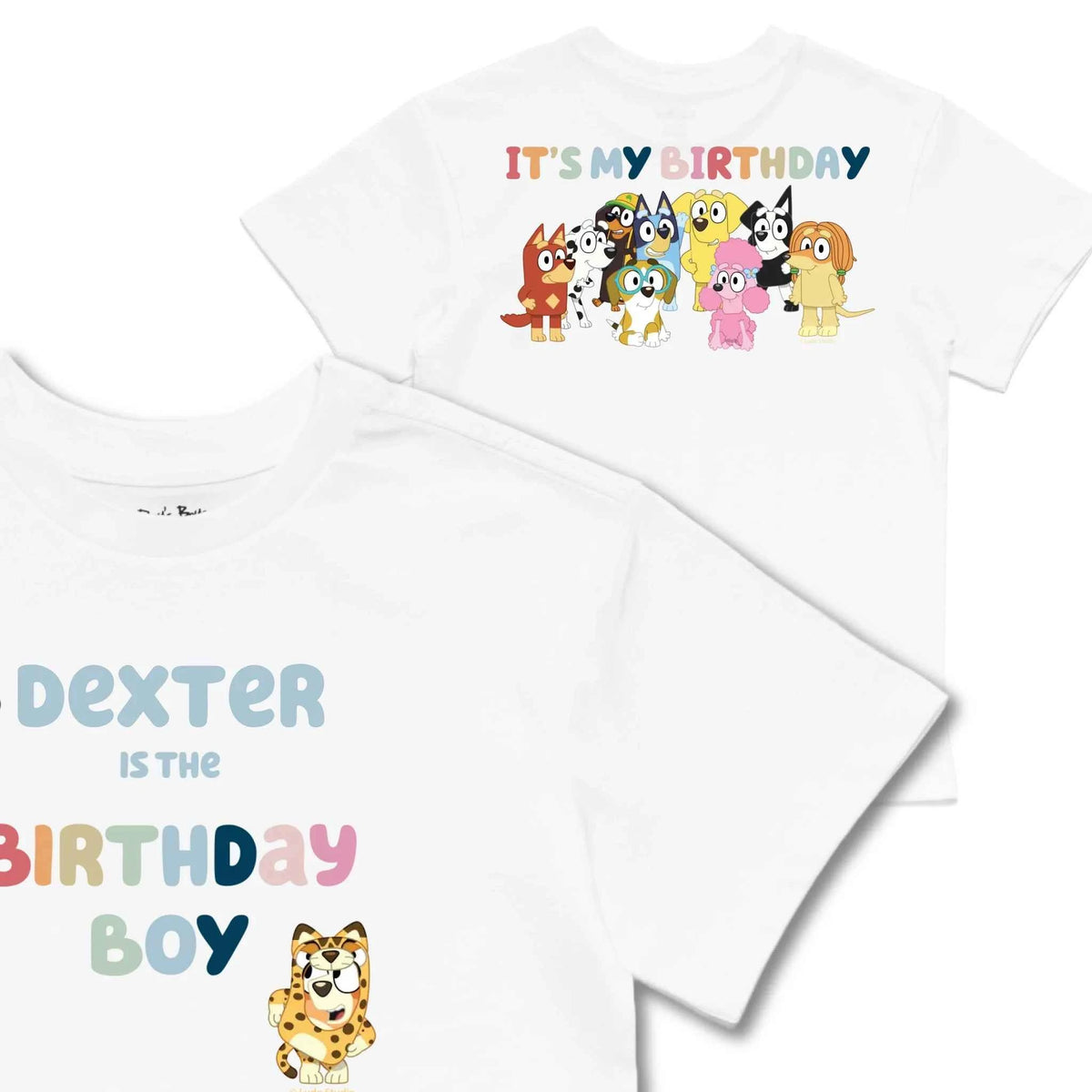 Personalised Bluey Birthday Boy Kids&