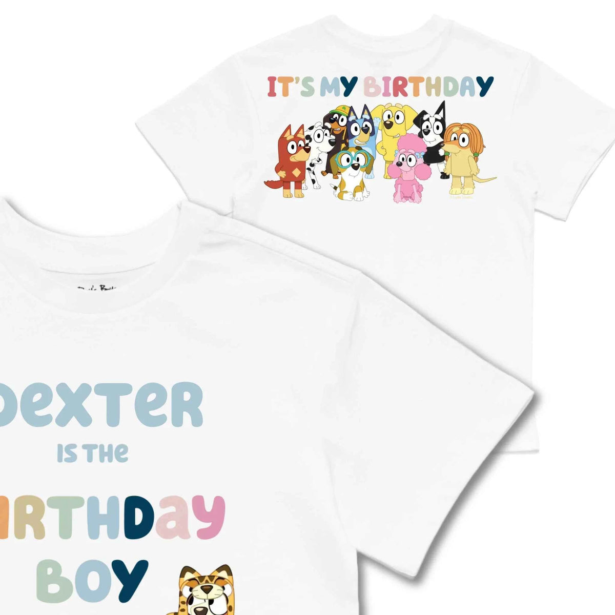 Personalised Bluey Birthday Boy Kids&