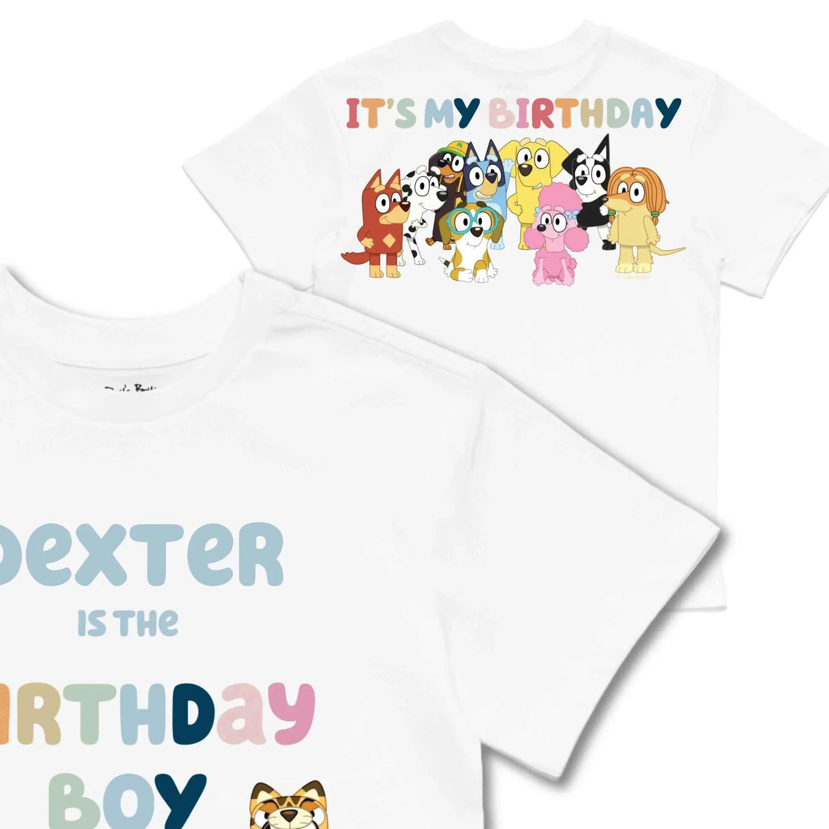 Personalised Bluey Birthday Boy Kids&