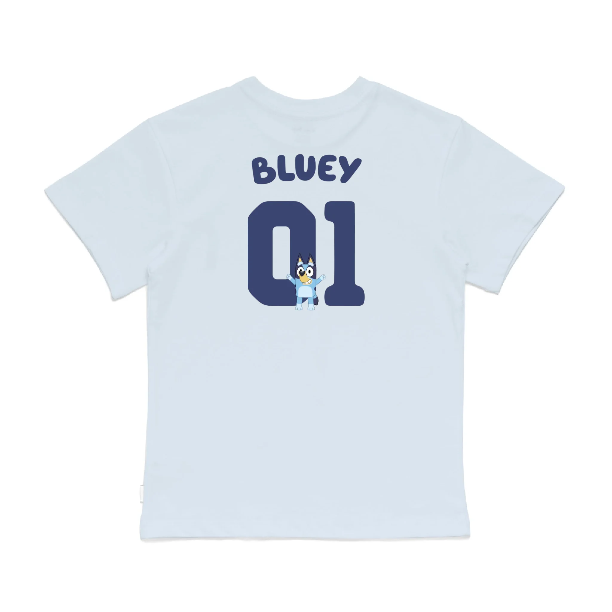 Roys Boys Bue T-Shirt Imagery_0008_Older Kids Back