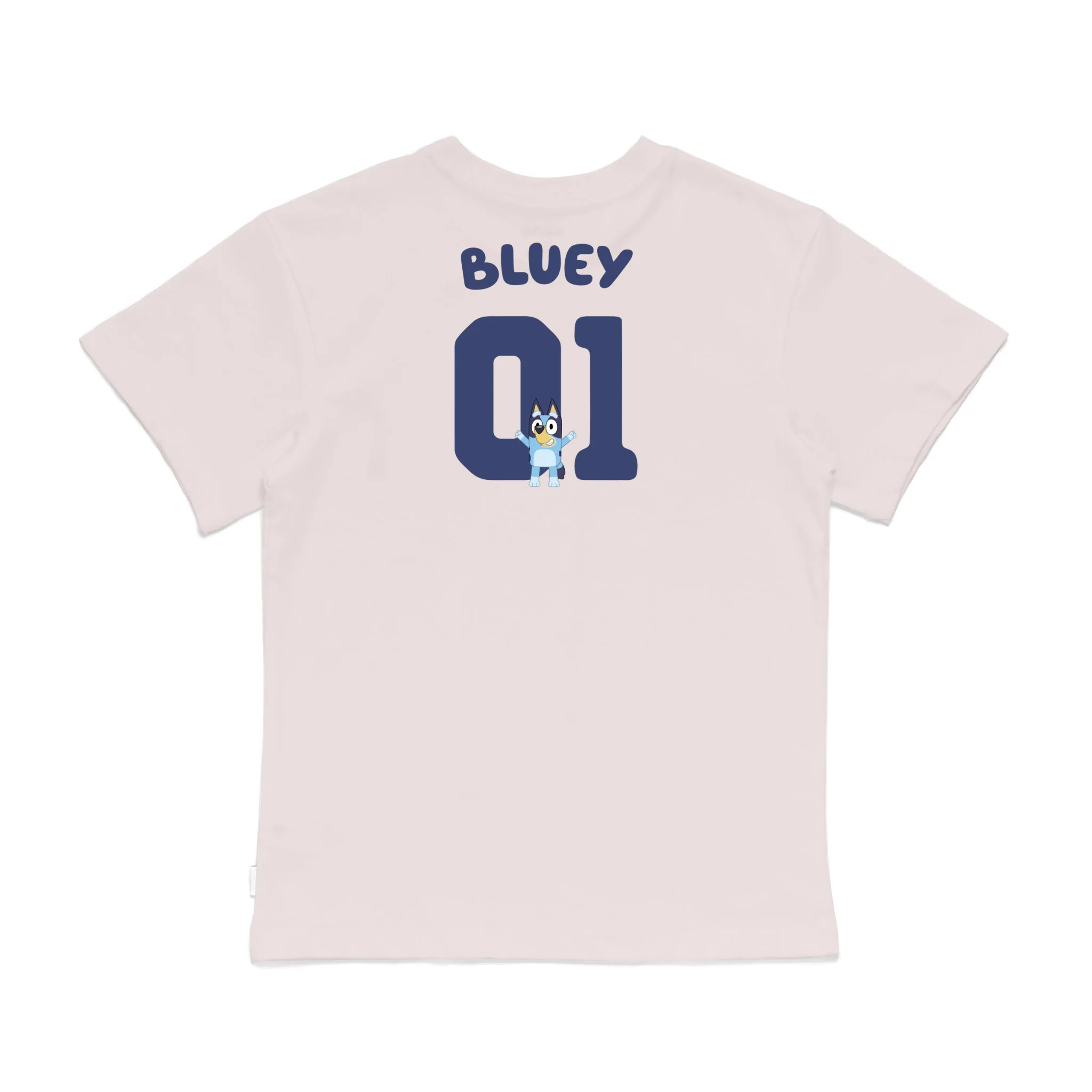 Roys Boys Pink T-Shirt Imagery_0008_Older Kids Back