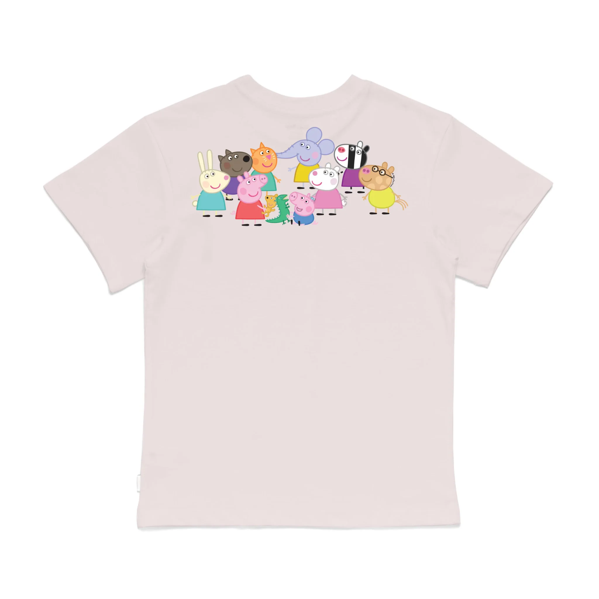 Roys Boys Pink T-Shirt Imagery_0008_Older Kids Back