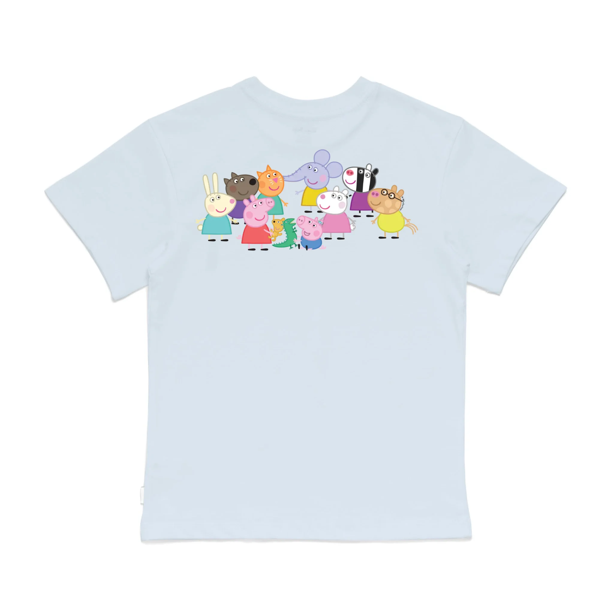 Roys Boys Bue T-Shirt Imagery_0008_Older Kids Back