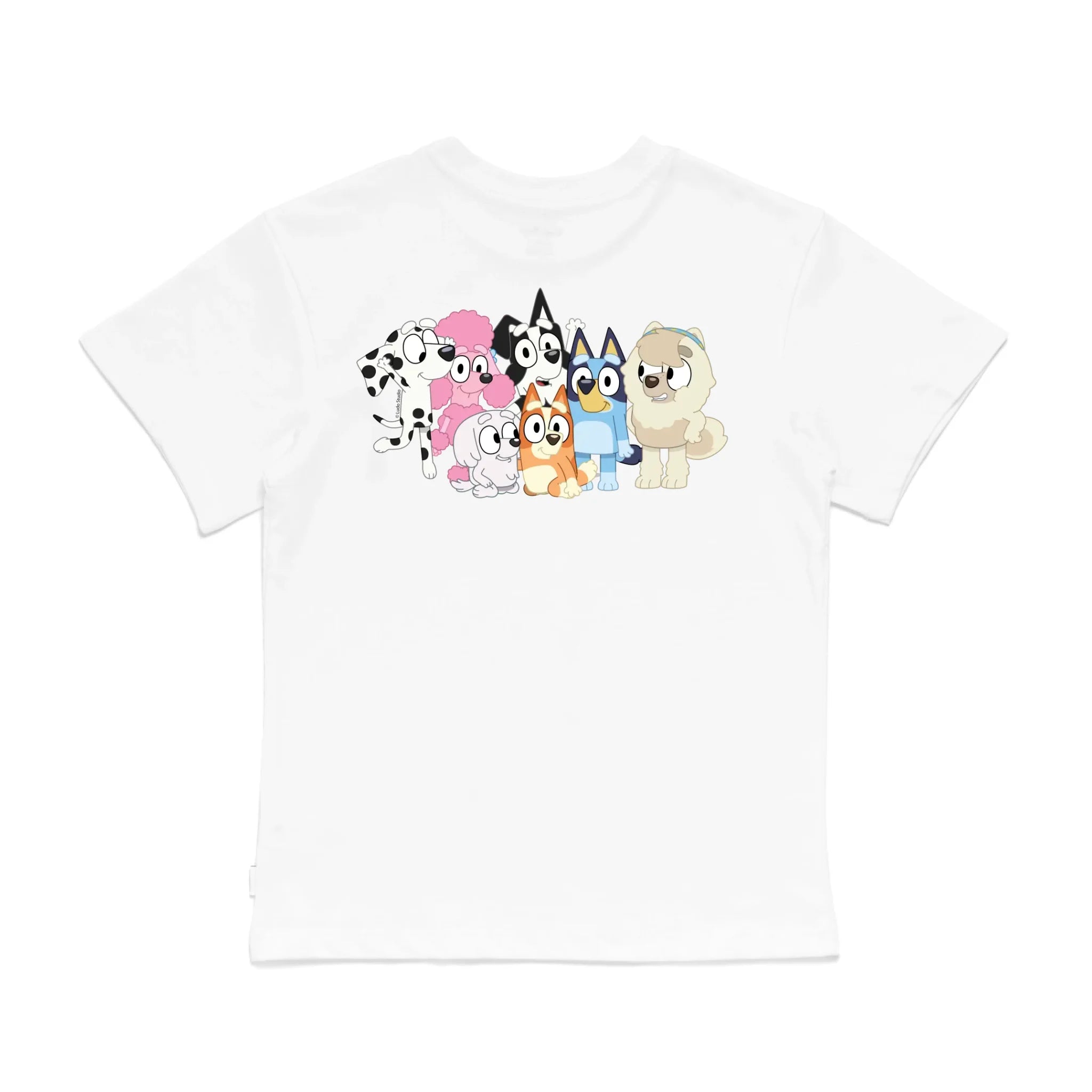 Roys Boys White T-Shirt Imagery_0008_Older Kids Back