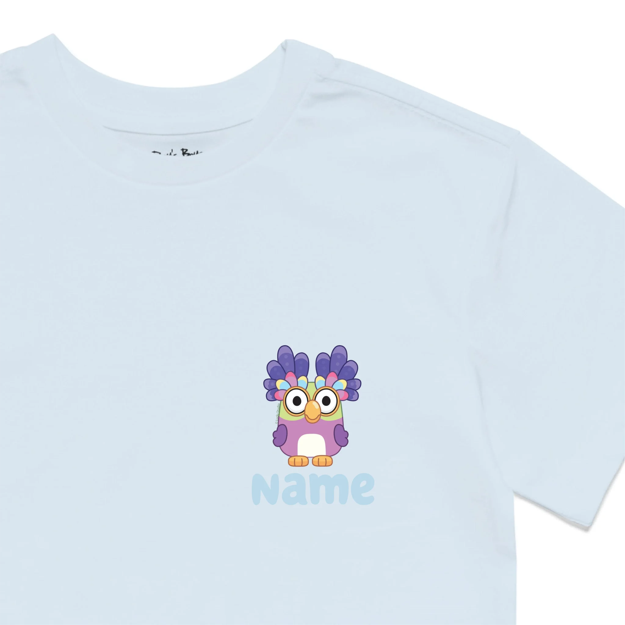 Roys Boys BLUE T-Shirt Imagery_0010_Older Kids Front Zoomed In-01