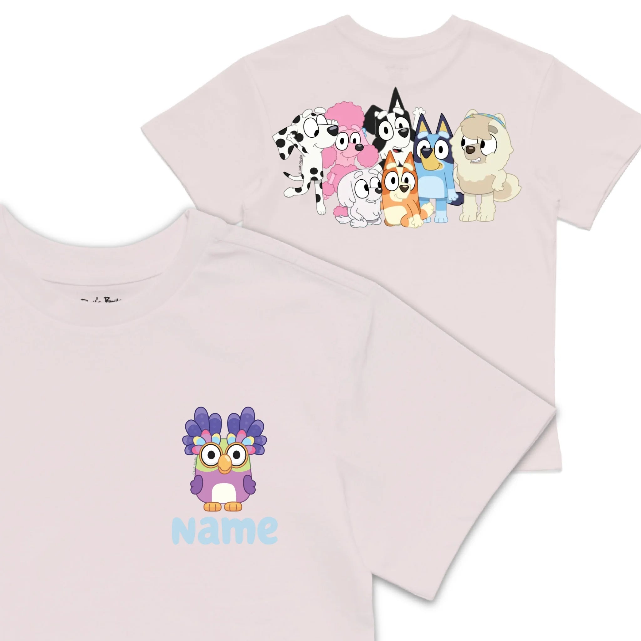 Roys Boys Pink T-Shirt Imagery_0008_Older Kids front back