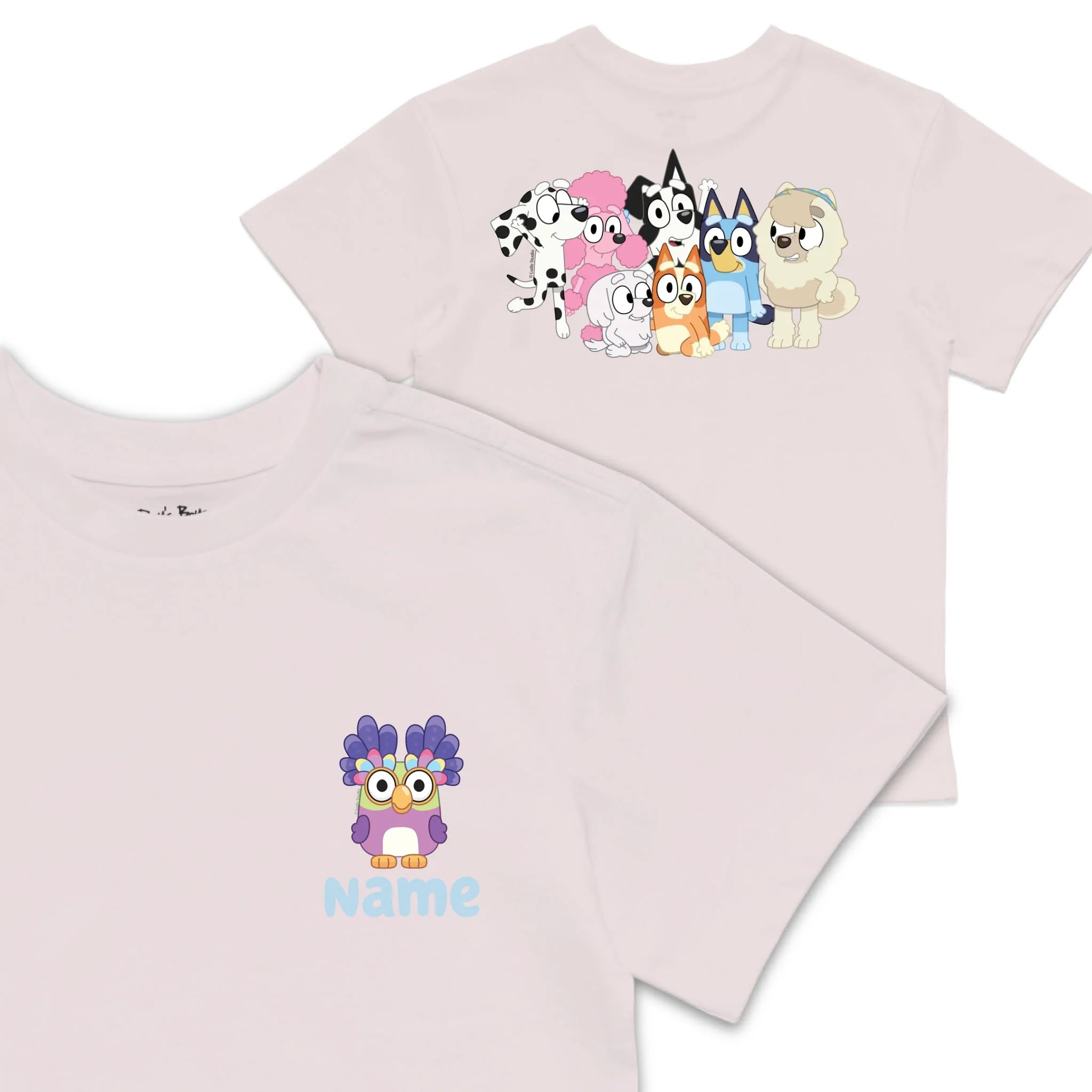 Roys Boys Pink T-Shirt Imagery_0008_Older Kids front back