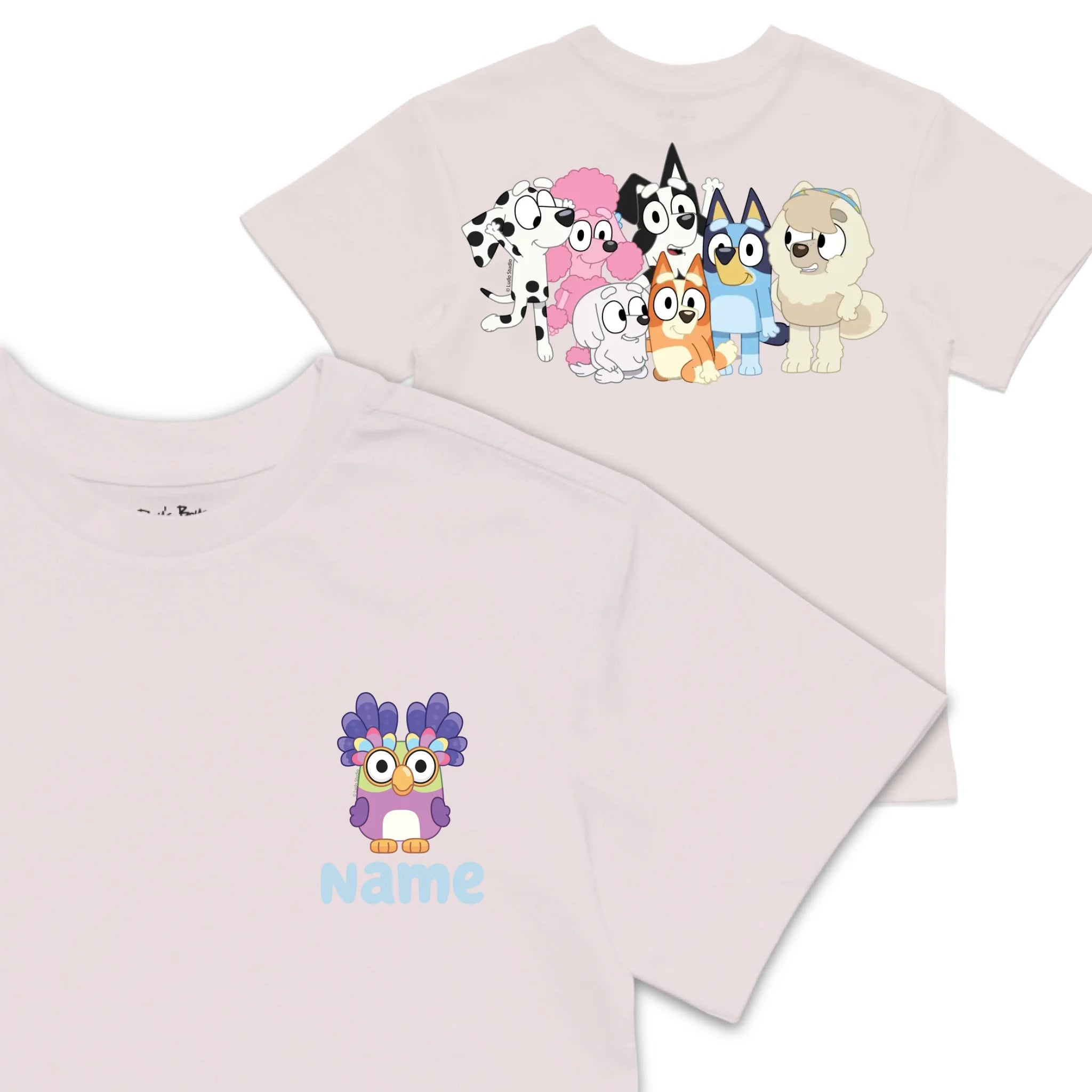 Roys Boys Pink T-Shirt Imagery_0008_Older Kids front back